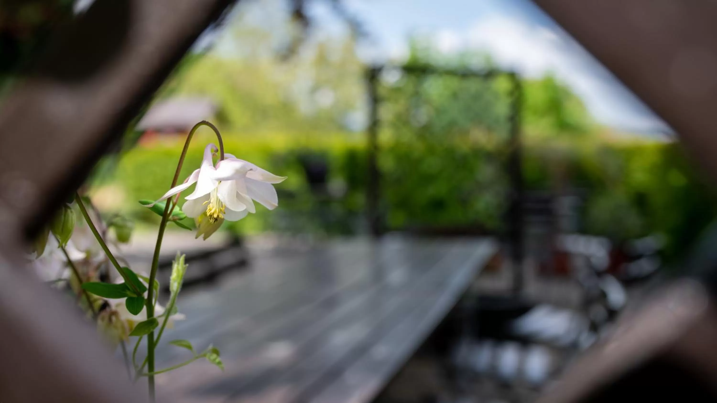 Patio in Hotel Asterra