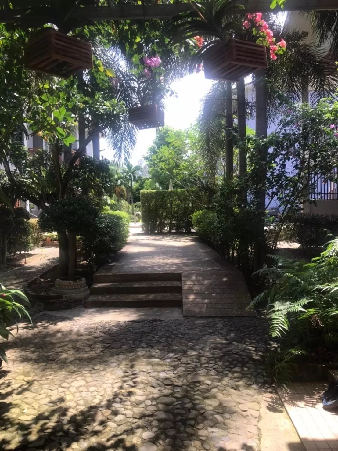 Garden in Pratum Resort