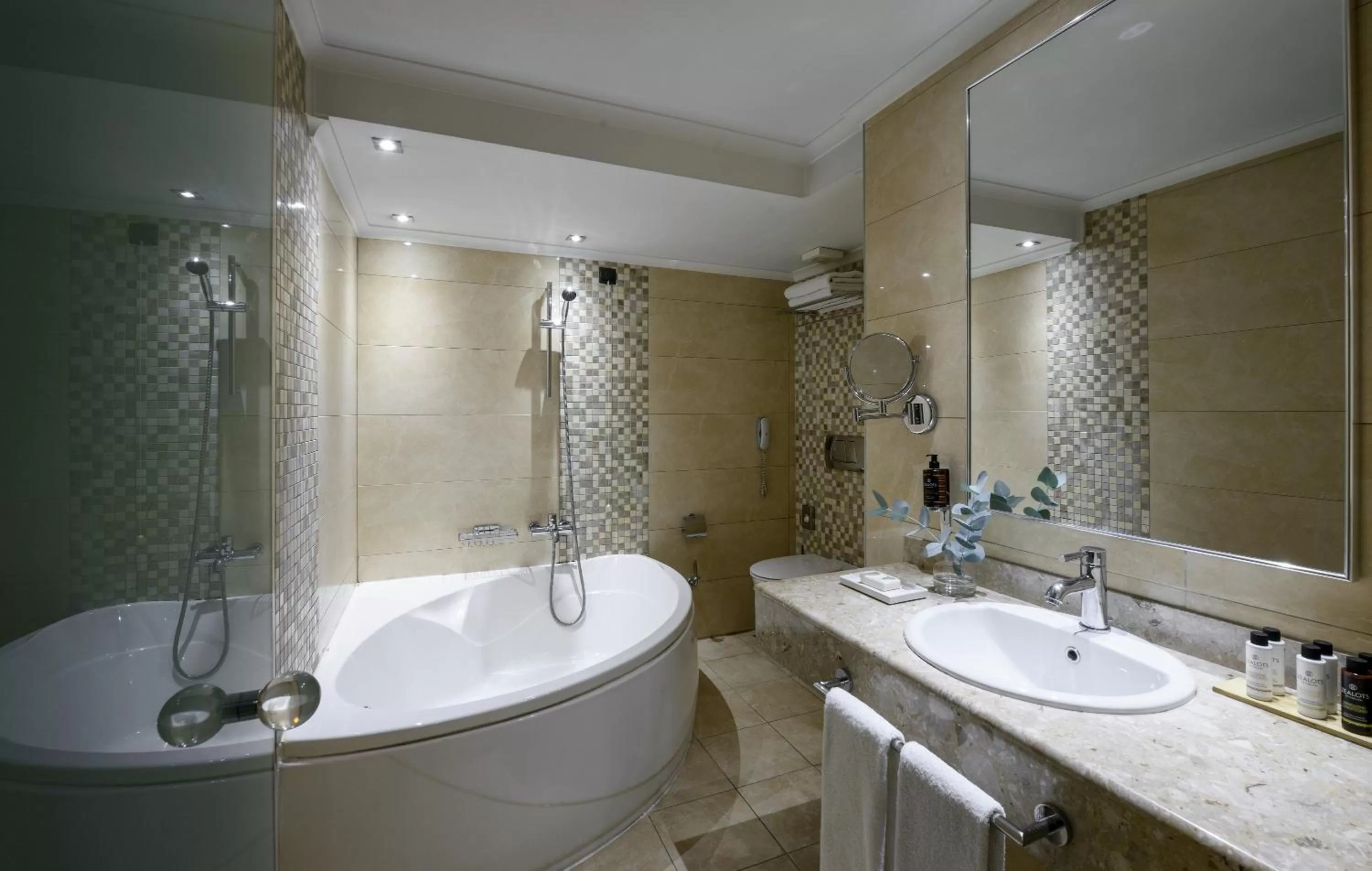 Toilet in Anatolia Hotel