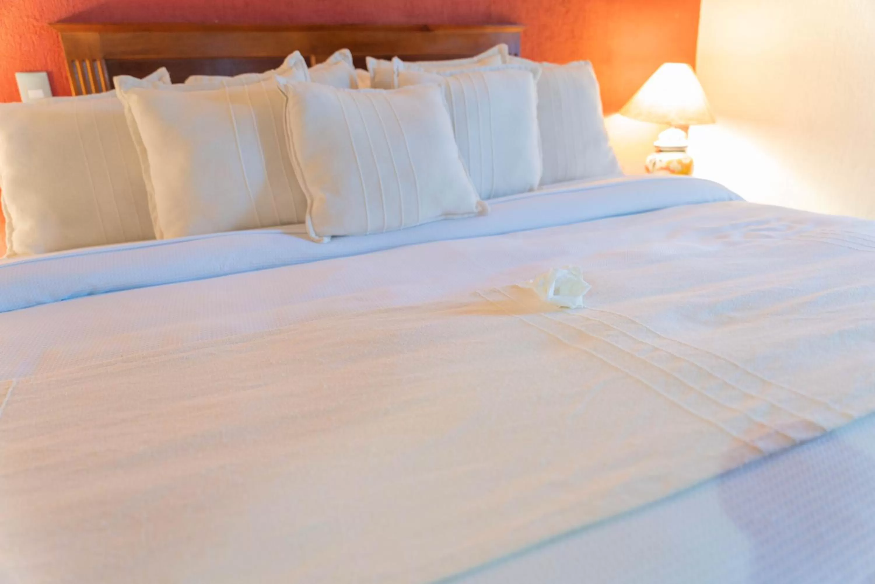 Bed in Casa Graciela Hotel Pátzcuaro