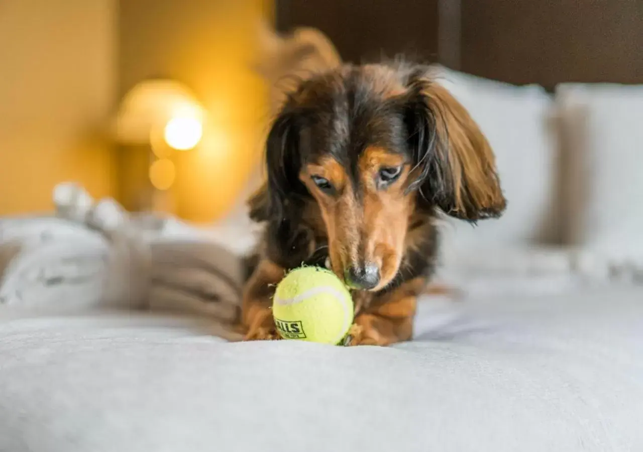Queen Room with Balcony in Temple Gardens Hotel & Spa Queen Room with Balcony in Temple Gardens Hotel & Spa