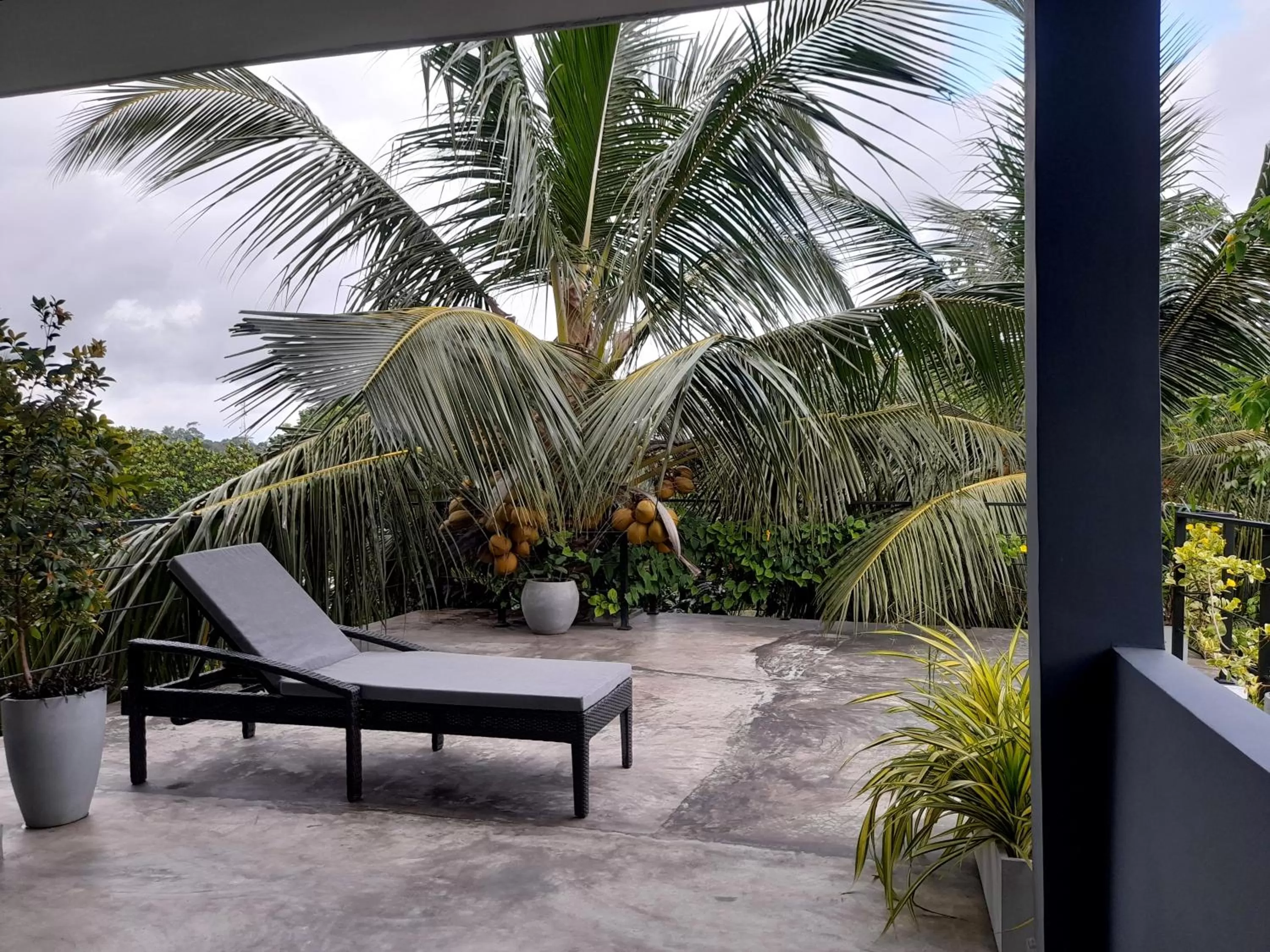 Restaurant/places to eat in Weligama Bay Watsila Resort