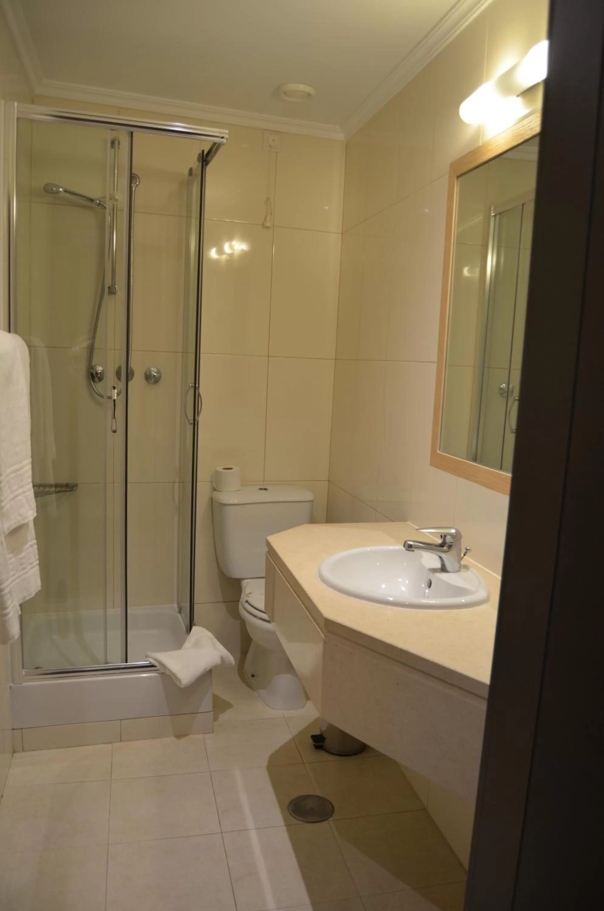 Bathroom in Hotel Torres Novas