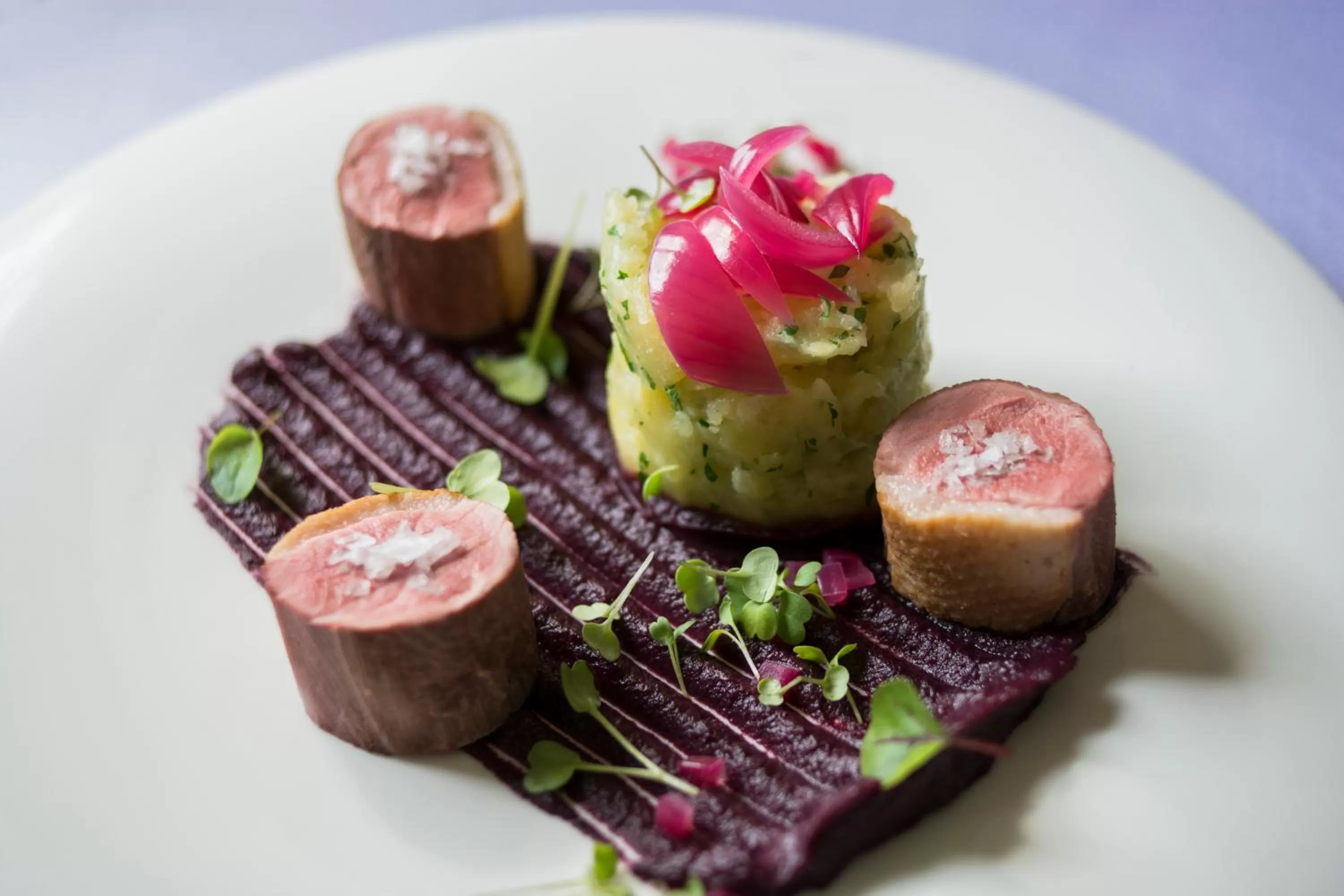 Food close-up in Rubin Wellness & Conference Hotel