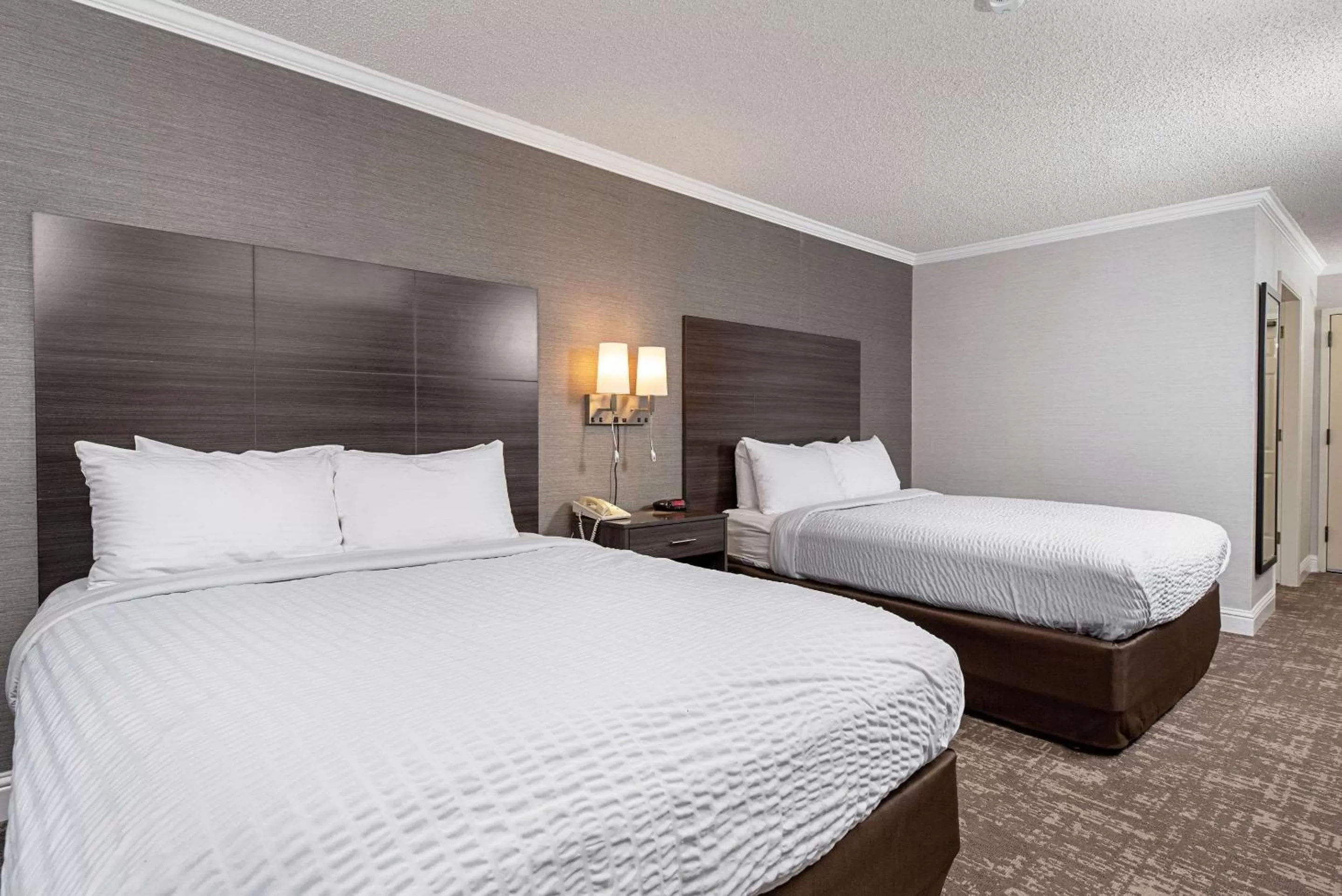 Photo of the whole room, Bed in Clarion Inn Silicon Valley