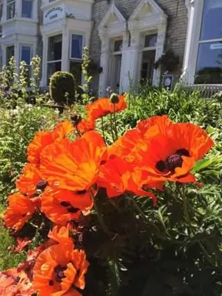 Property building in Wheatlands Lodge Hotel