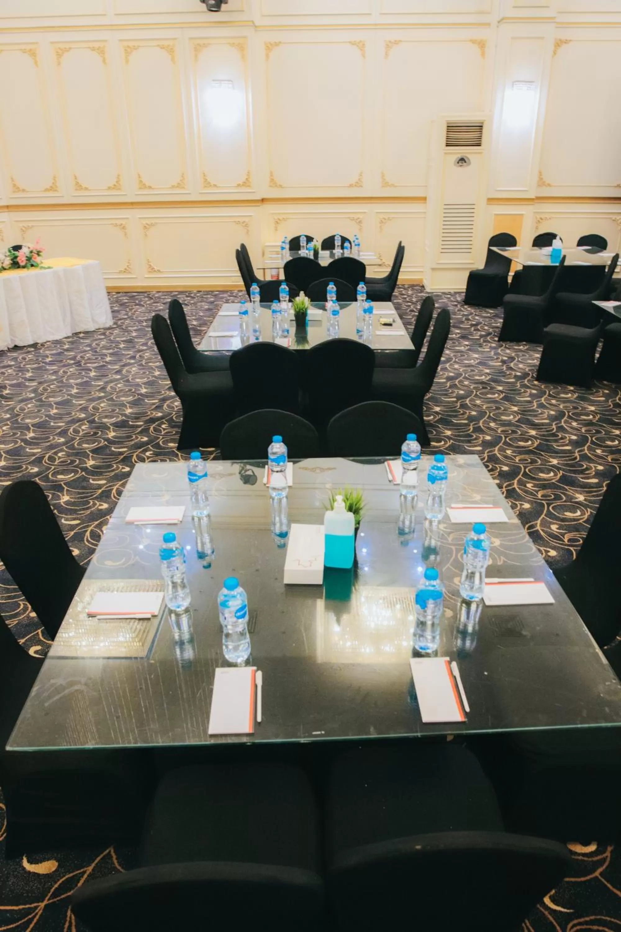 Banquet/Function facilities, Business Area/Conference Room in Aracan Portsaid