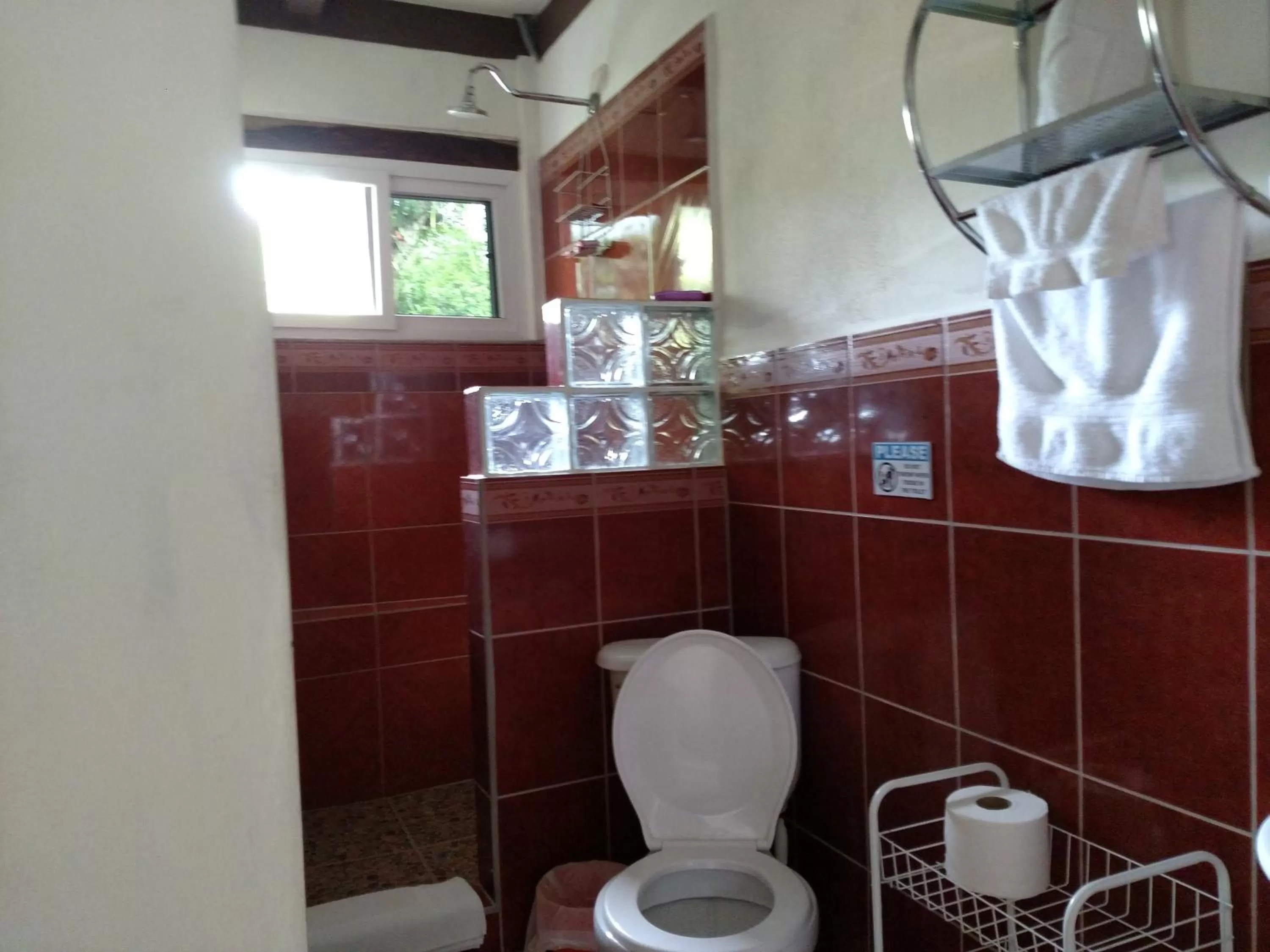 Toilet, Bathroom in Zapote Tree Inn
