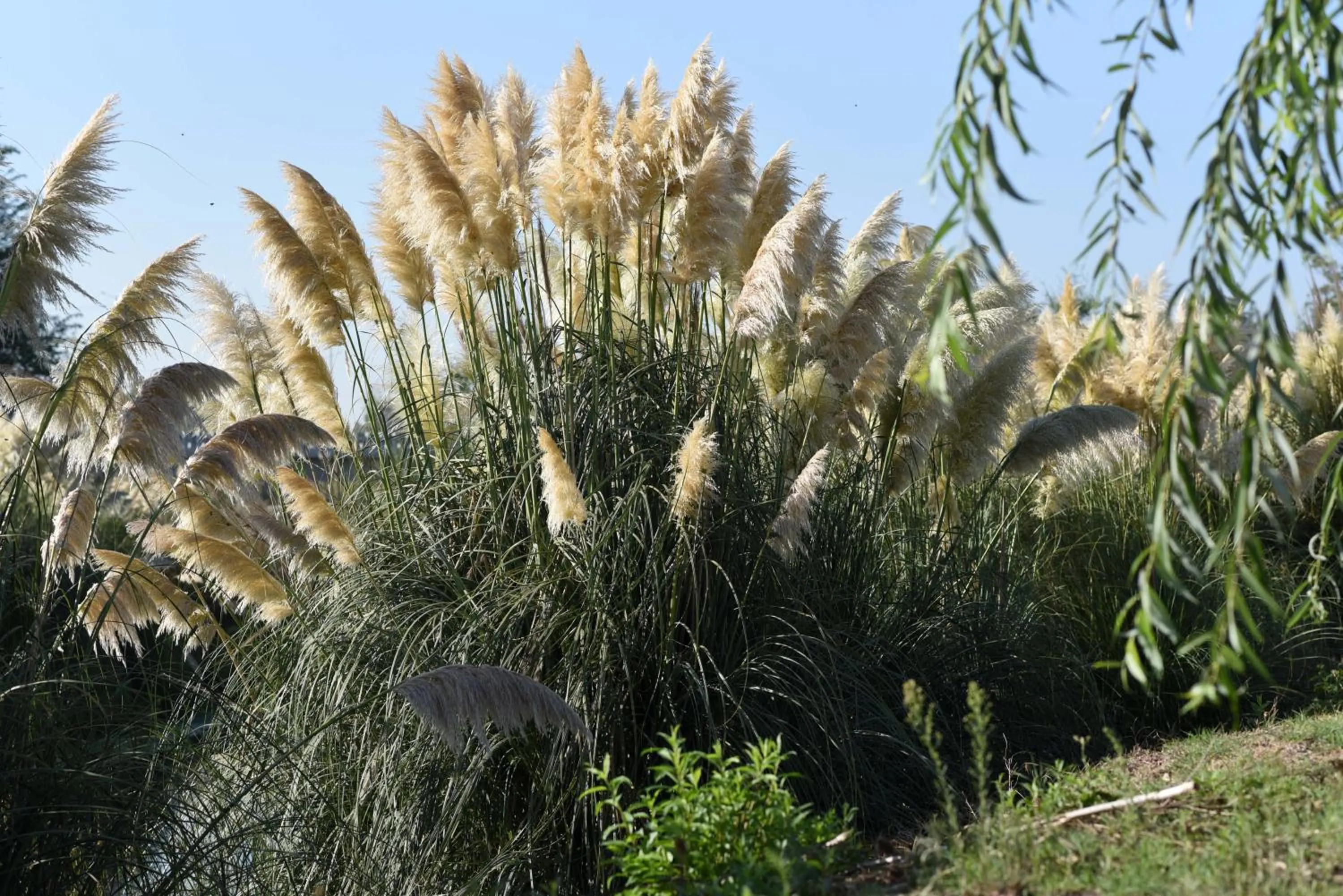 Howard Johnson Resort & Convention Center Ezeiza