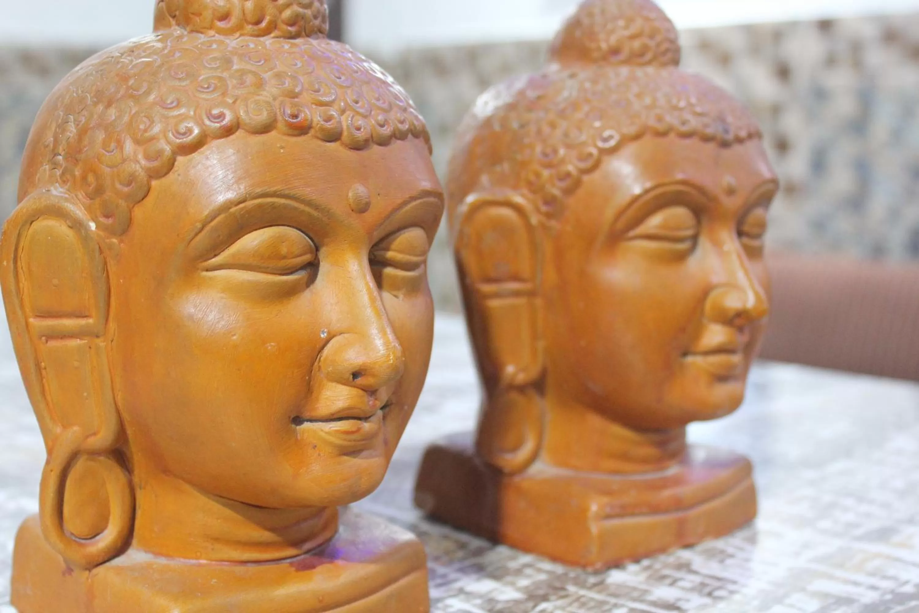 Property building in Trimrooms @ Katra Railway Station