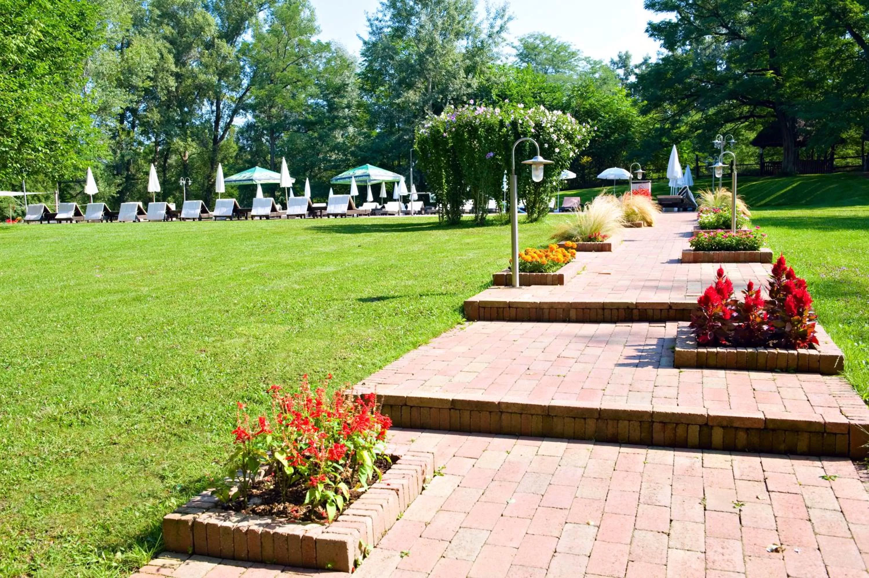 Day, Garden in Varga Tanya Hotel