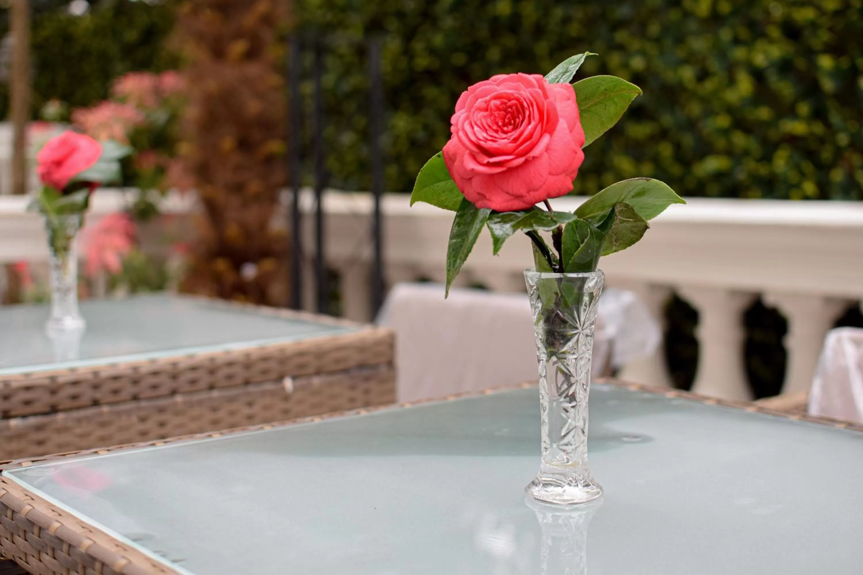 Pembridge Palace Hotel