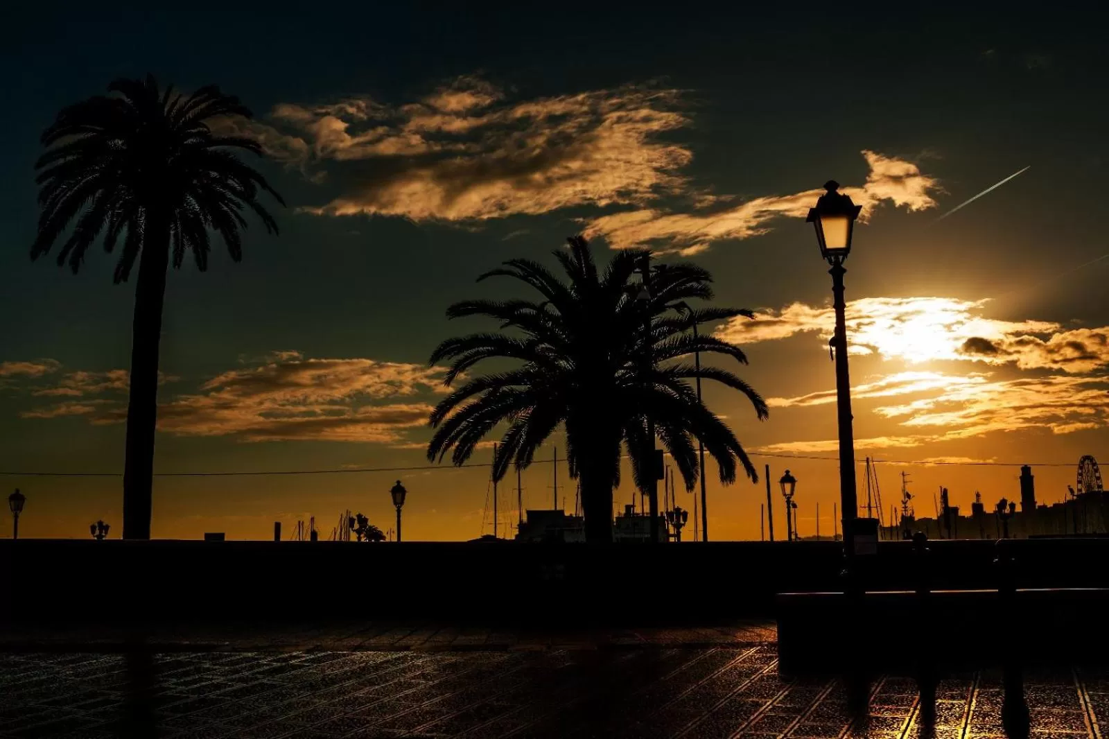 Natural landscape in Travel B&B