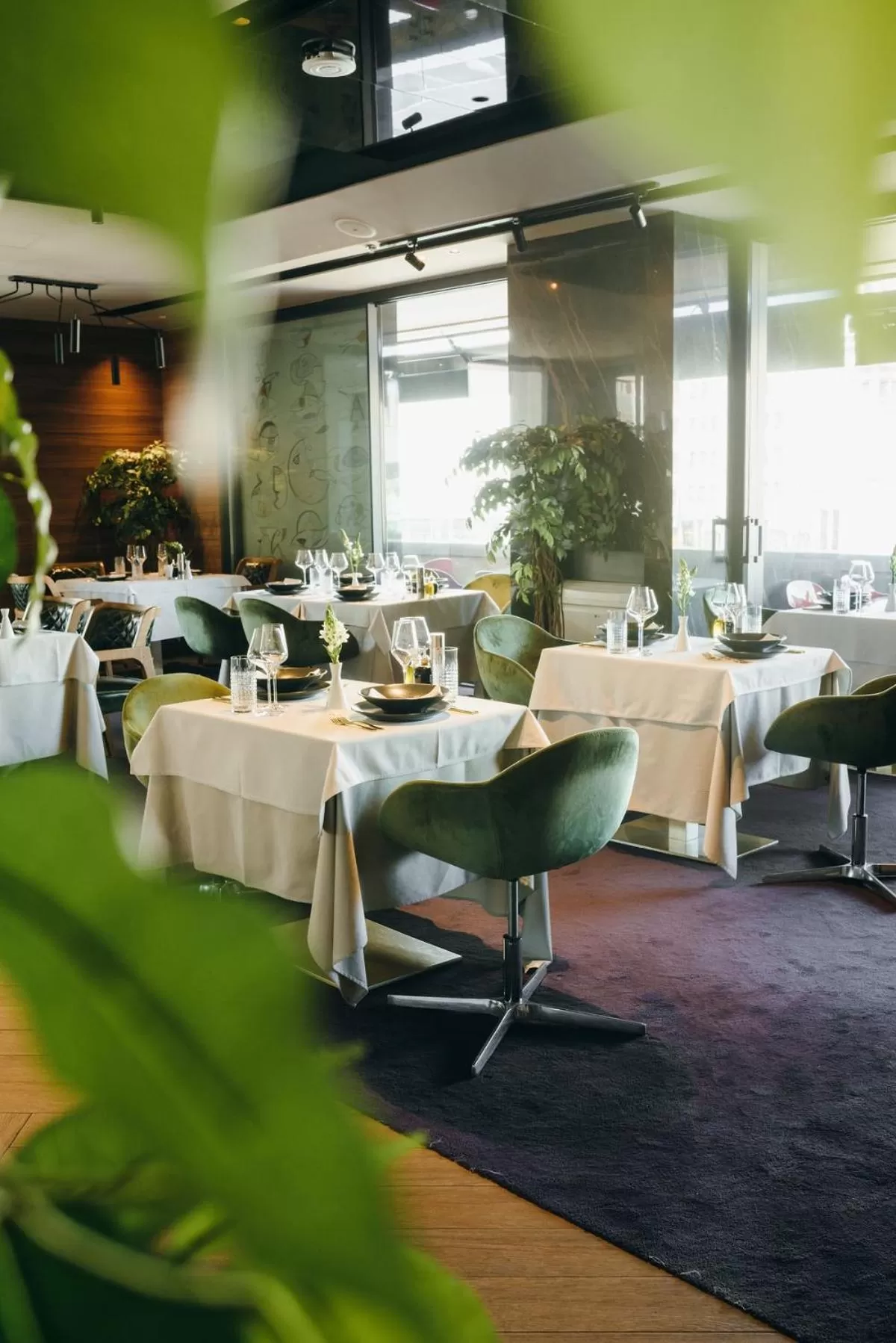 Restaurant/places to eat in Ambasador Hotel