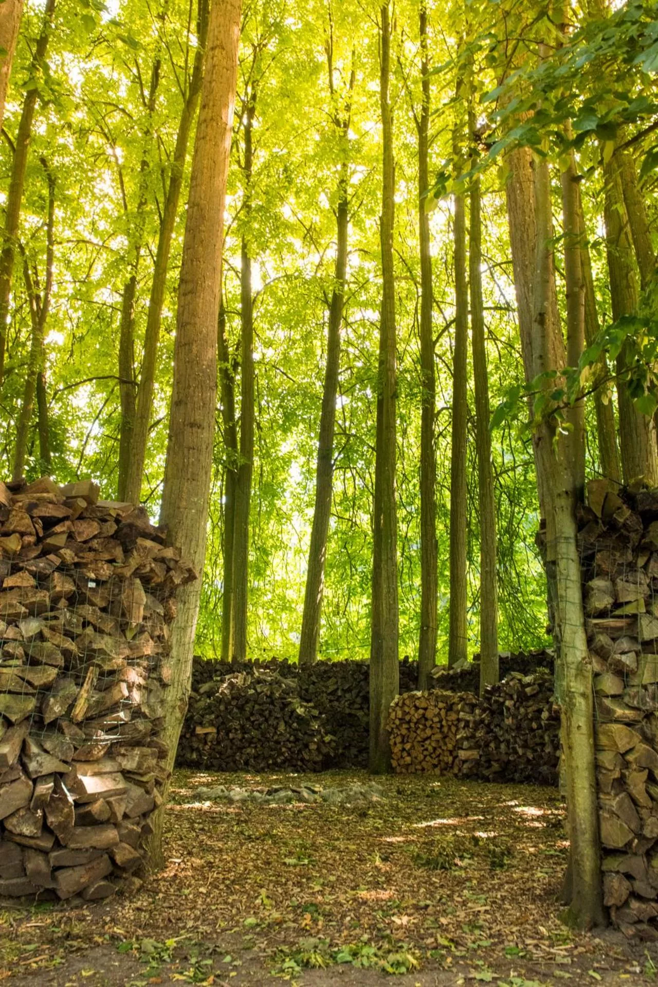 Garden in B&B en SPA Landgoed Matanze