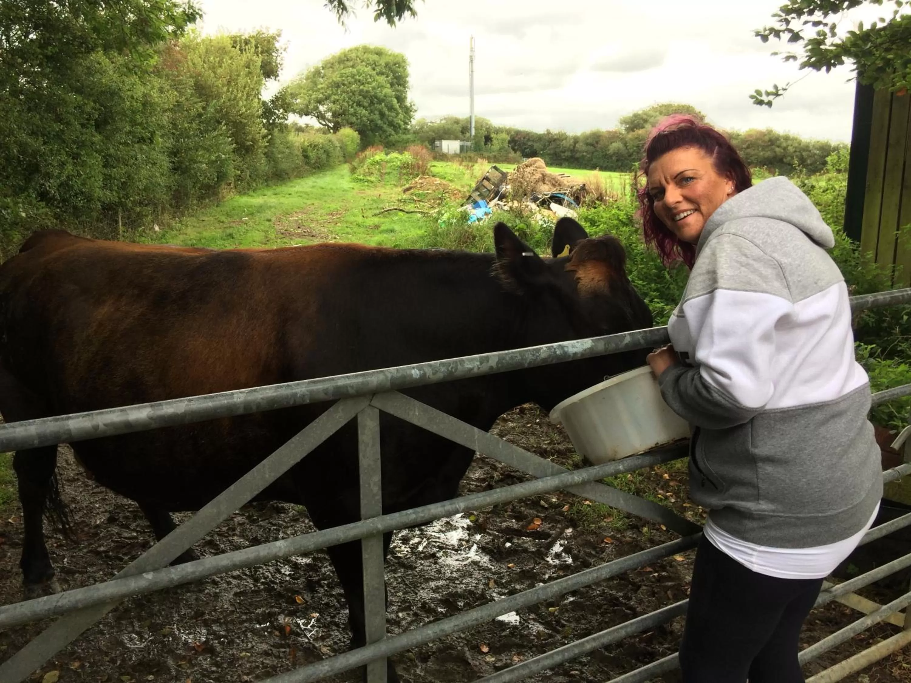 Animals in Barton Gate Farm B&B