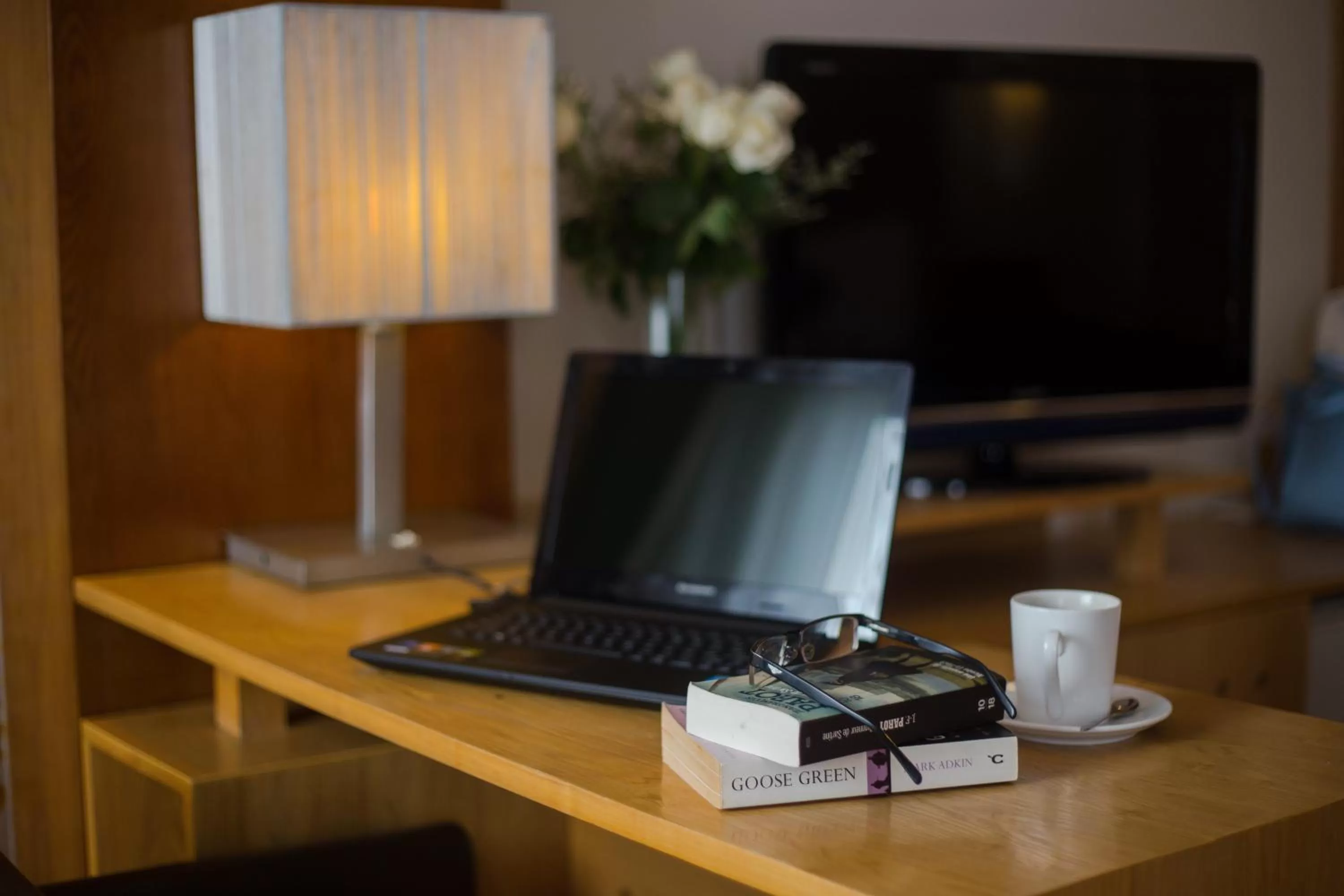 Communal lounge/ TV room in Eliana Ruby Hotel & Travel