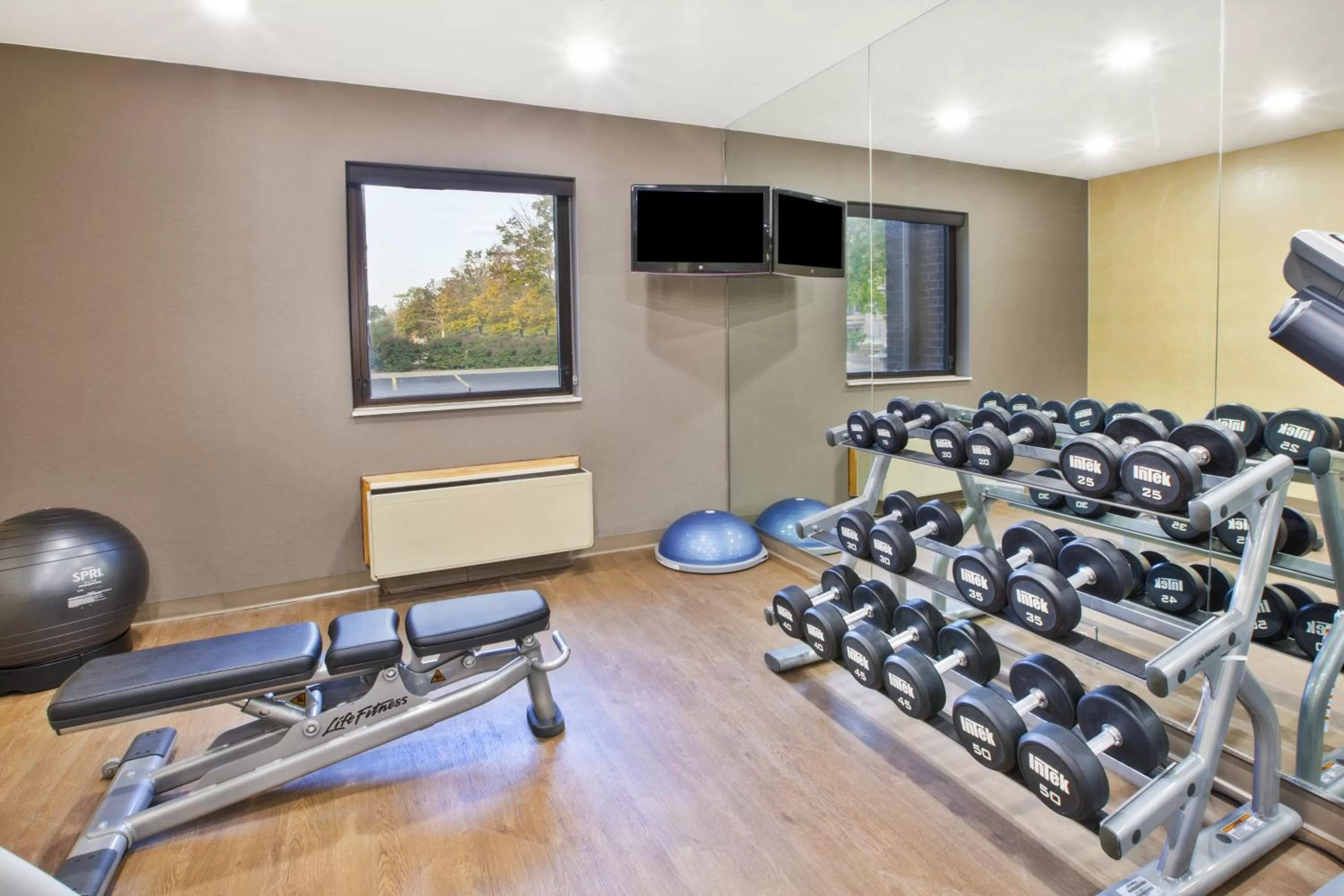 Fitness centre/facilities in Holiday Inn Express Detroit-Warren/General Motors Technology Center by IHG