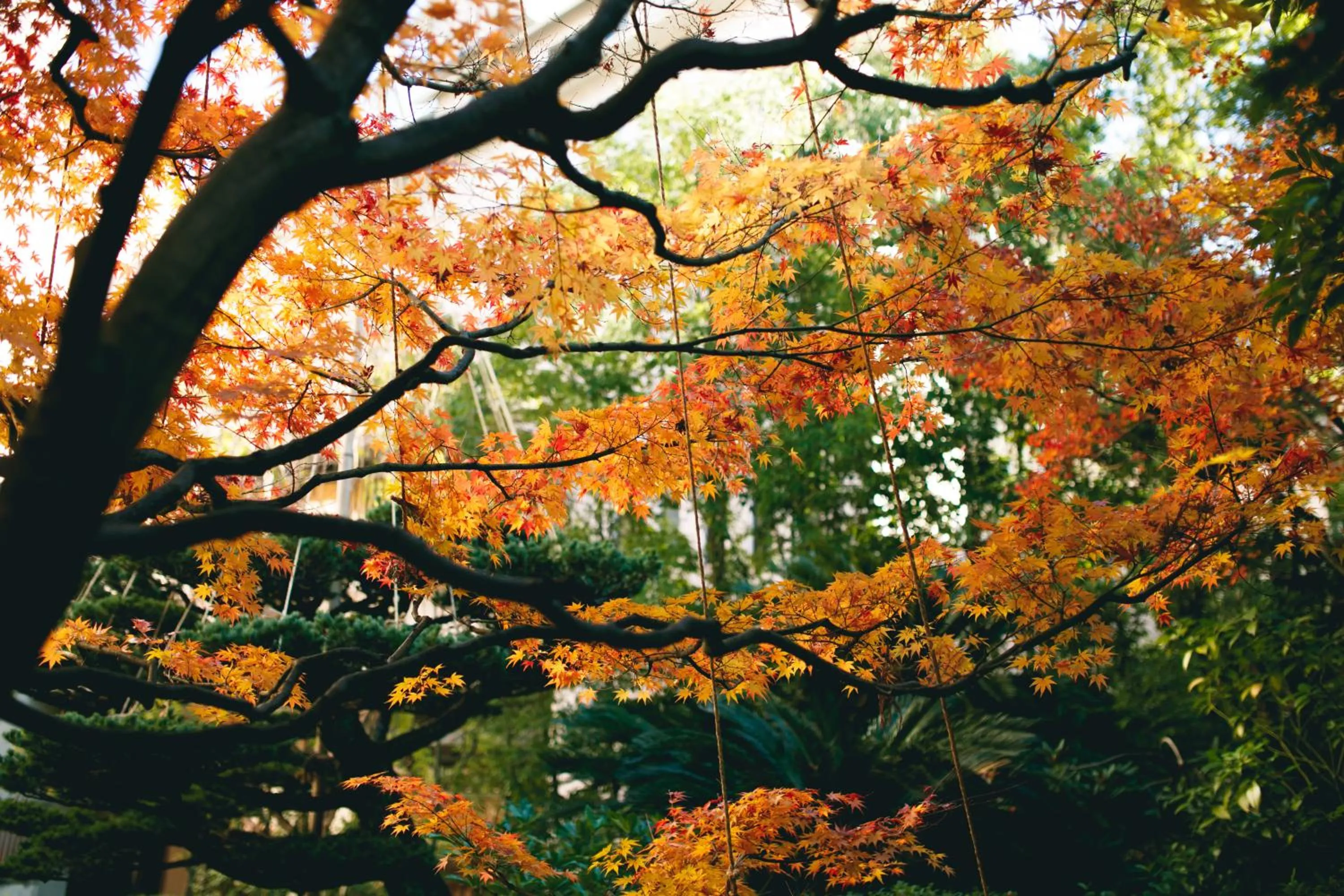 Nearby landmark in Hatori