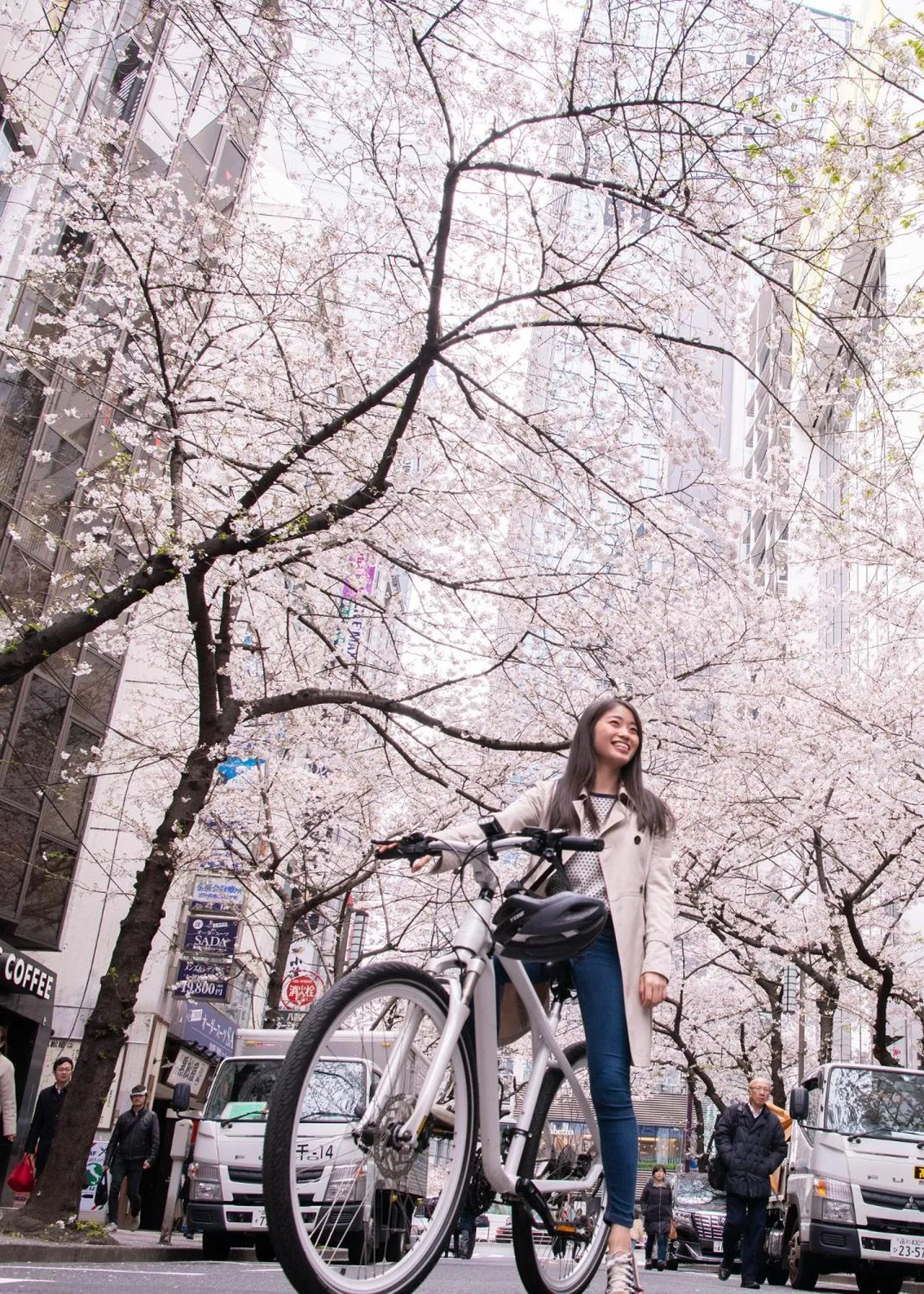 Spring in Shangri-La Tokyo
