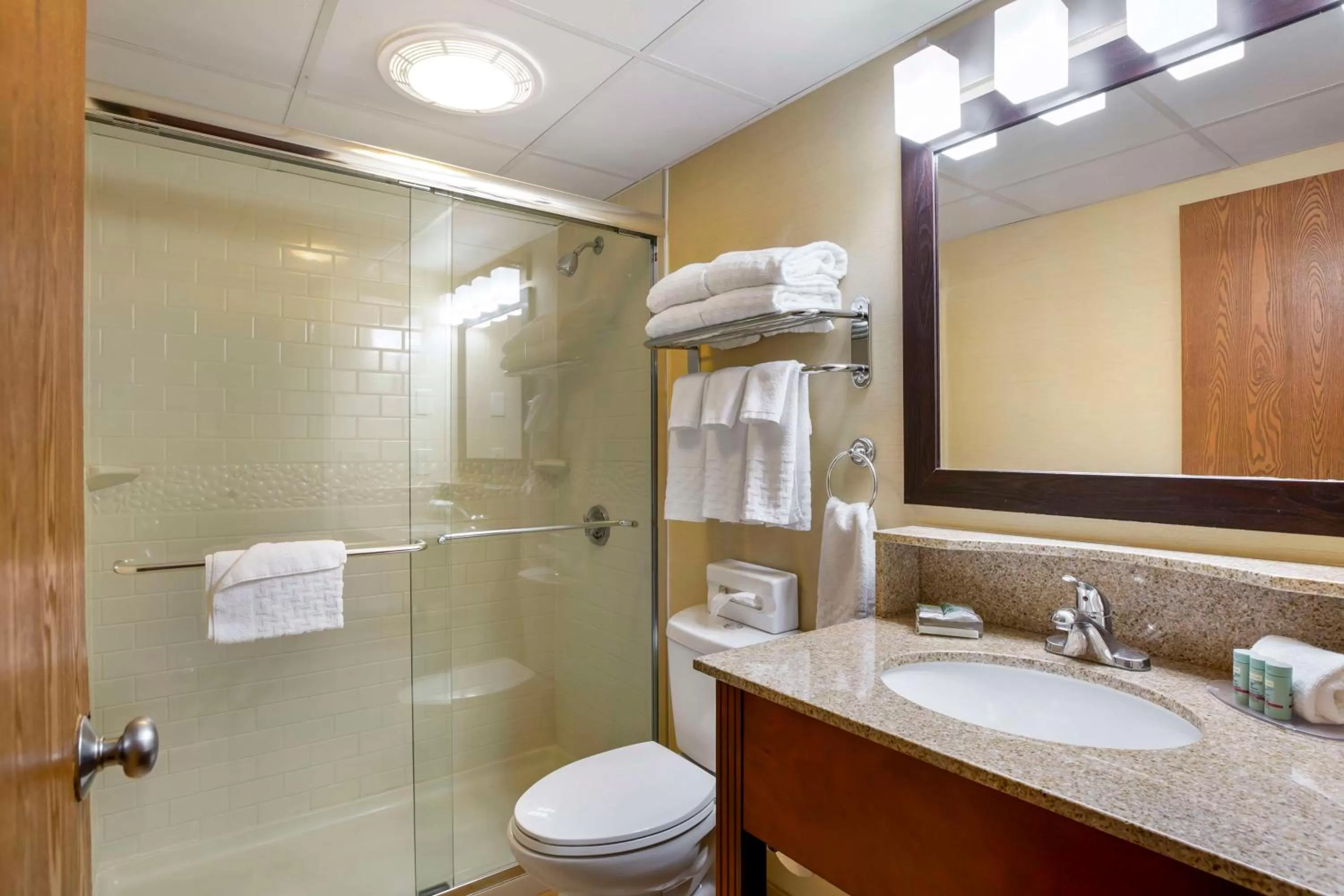 King Suite with Walk-In Shower - Disability Access/Non-Smoking in Best Western Plus The Inn at Sharon/Foxboro