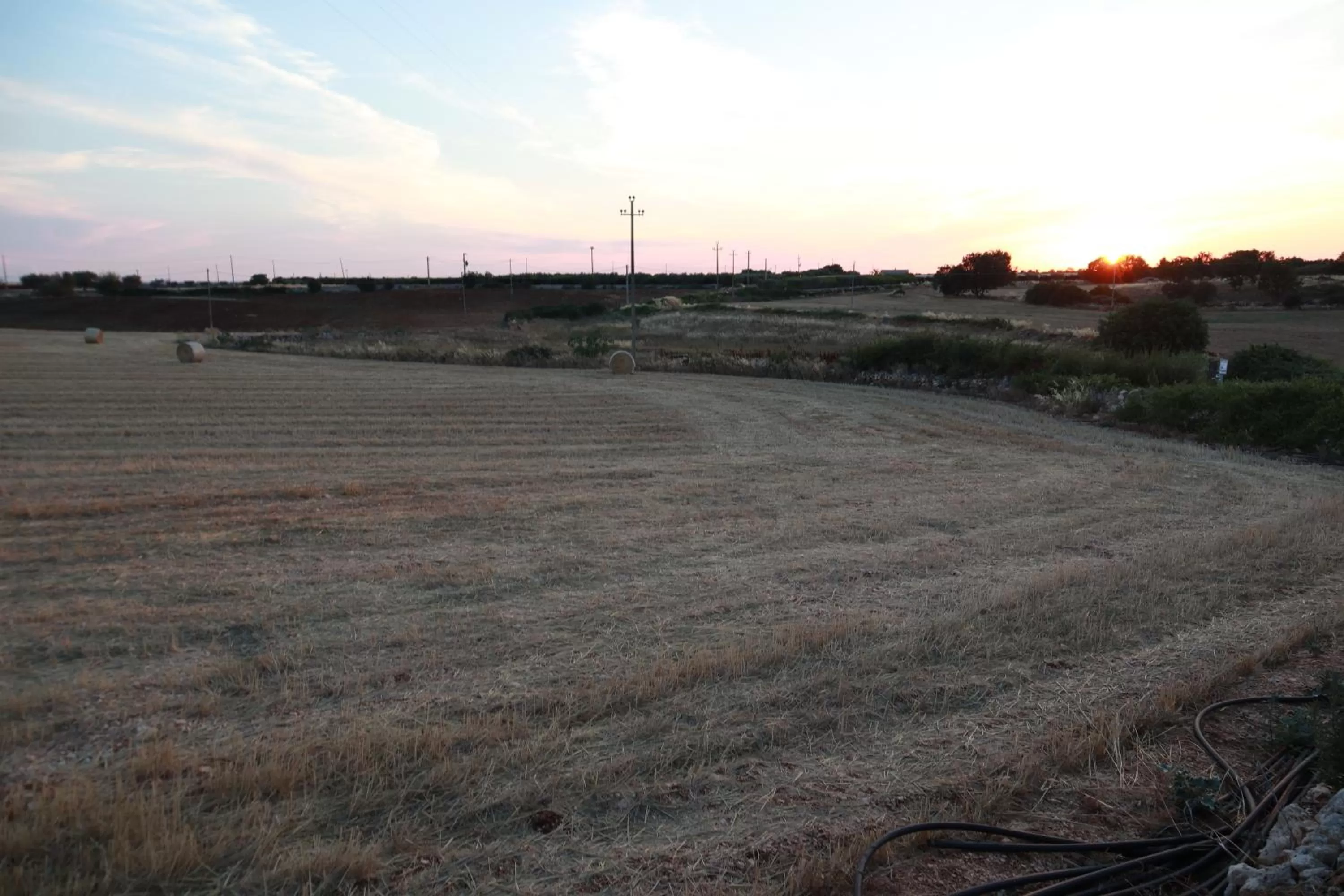 Garden in Agriturismo Masseria Alberotanza