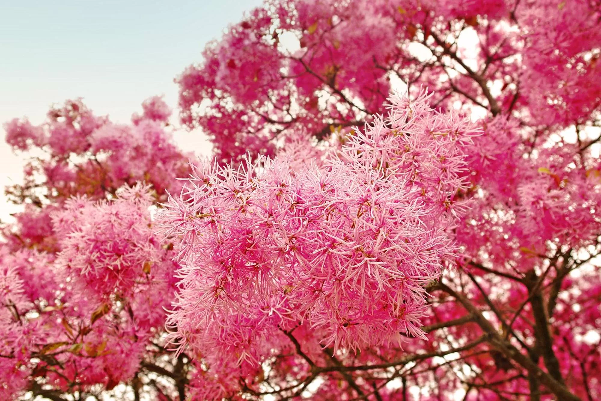 Off site in Hotel Florida