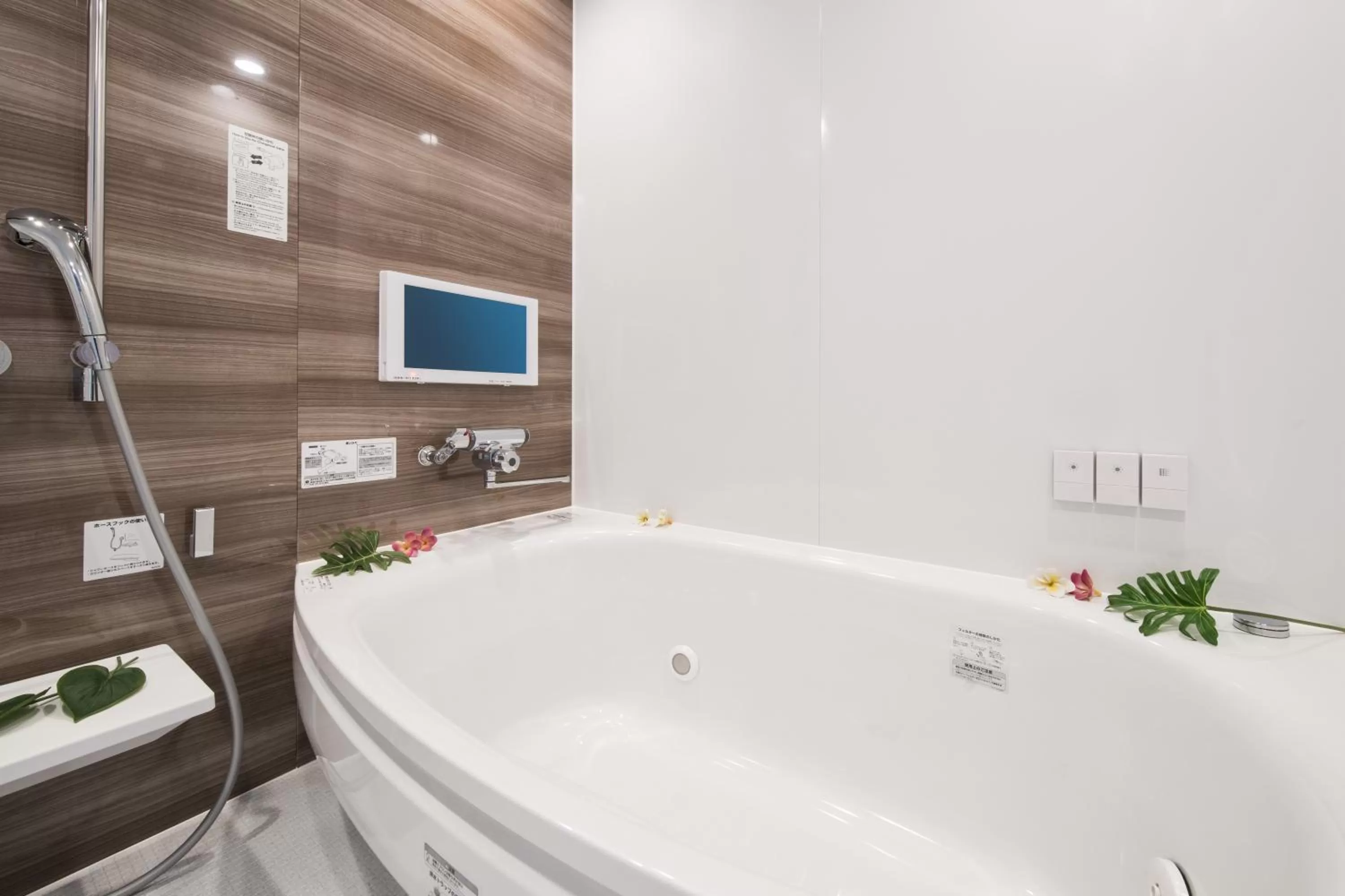 Shower in Hotel Alps