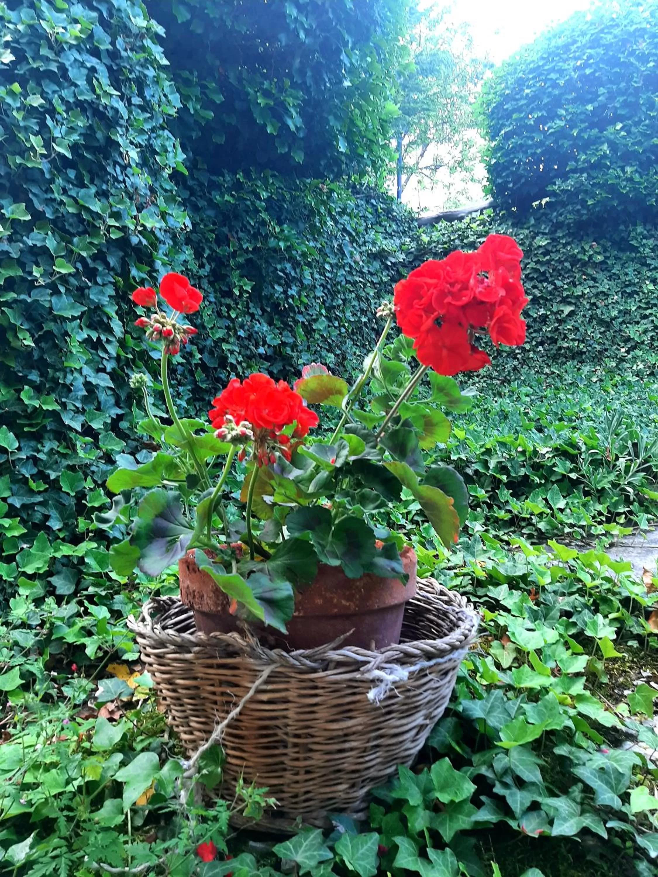 Natural landscape in B&B degli Allori