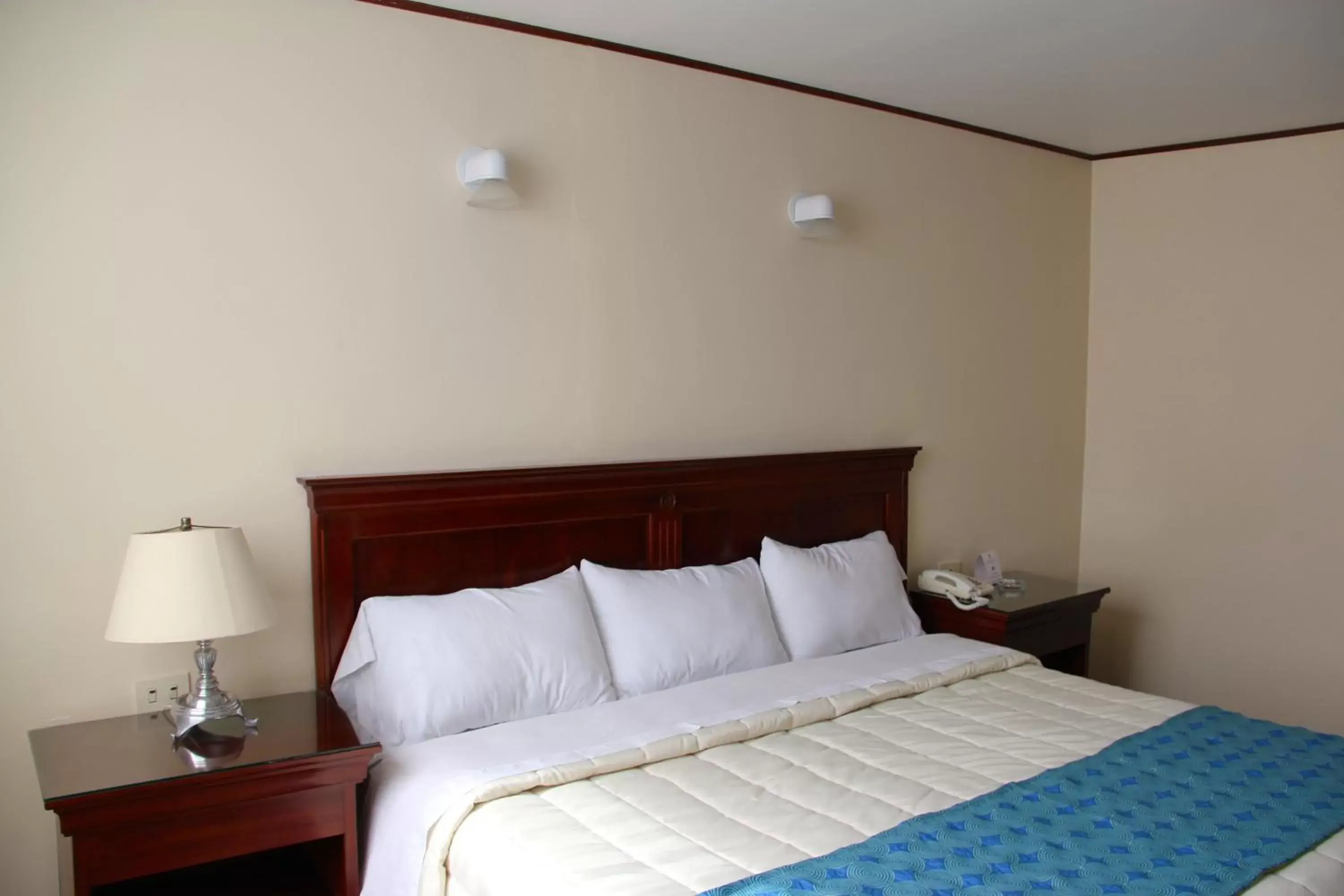 Standard King Room - single occupancy in Hotel Tehuacan Plaza Standard King Room - single occupancy in Hotel Tehuacan Plaza