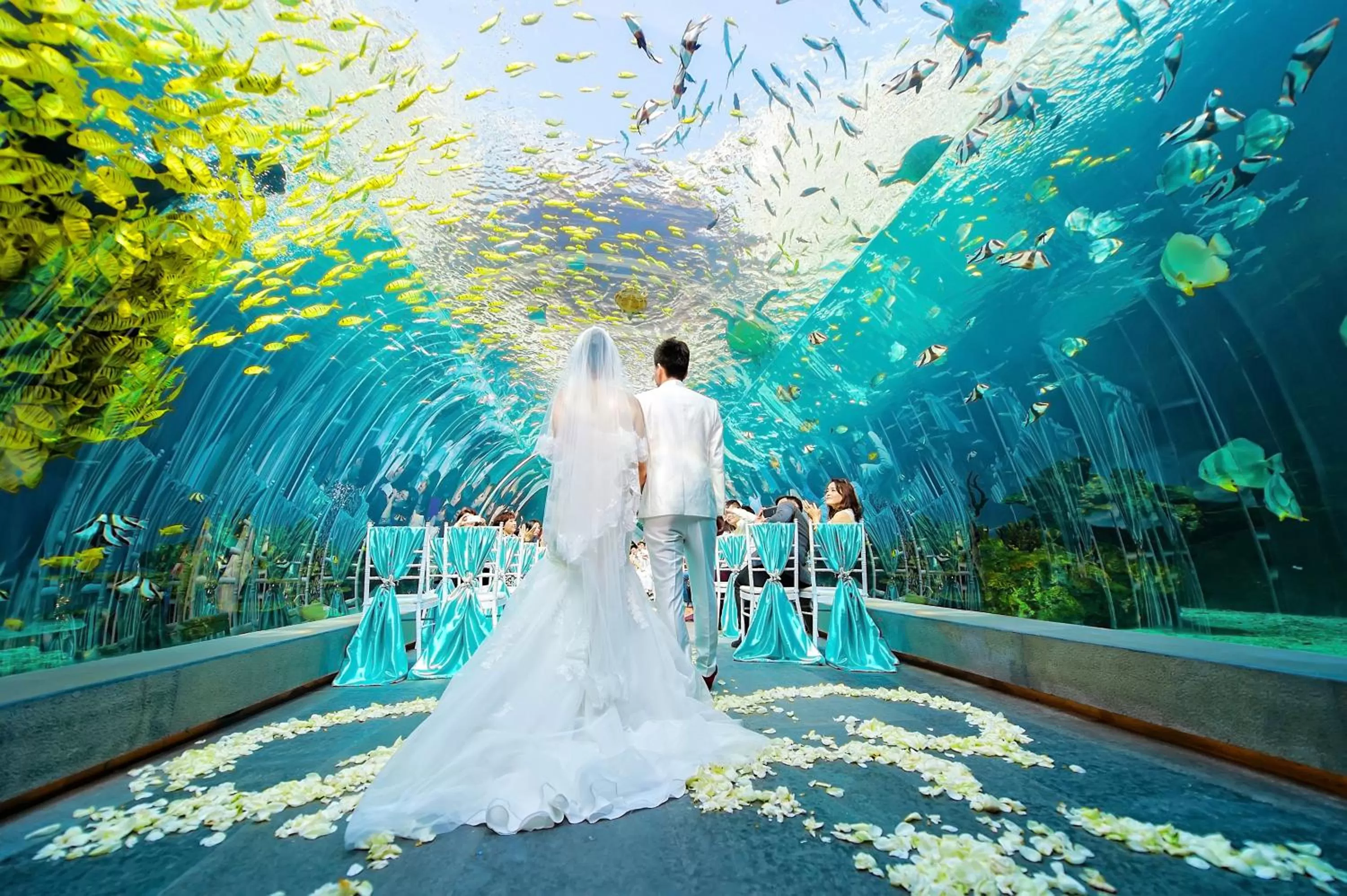 Meeting/conference room in InterContinental Sanya Haitang Bay Resort by IHG