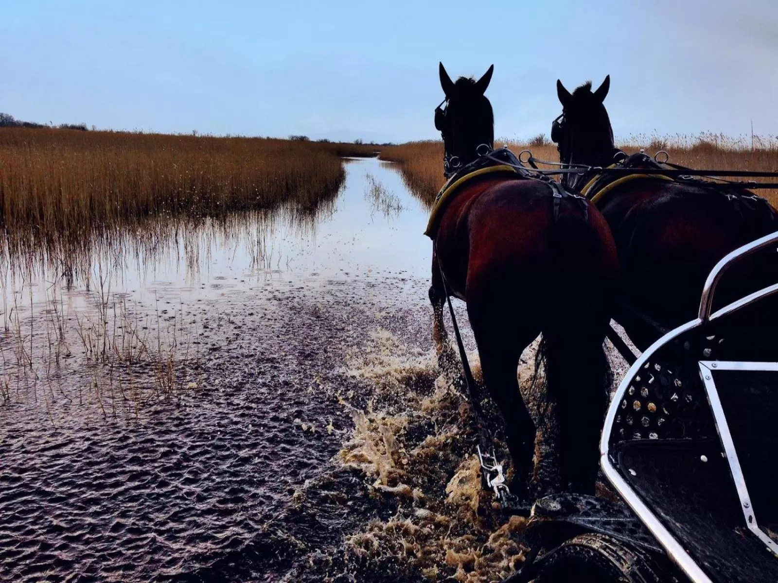 Horse-riding, Horseback Riding in Hotel Nationalpark