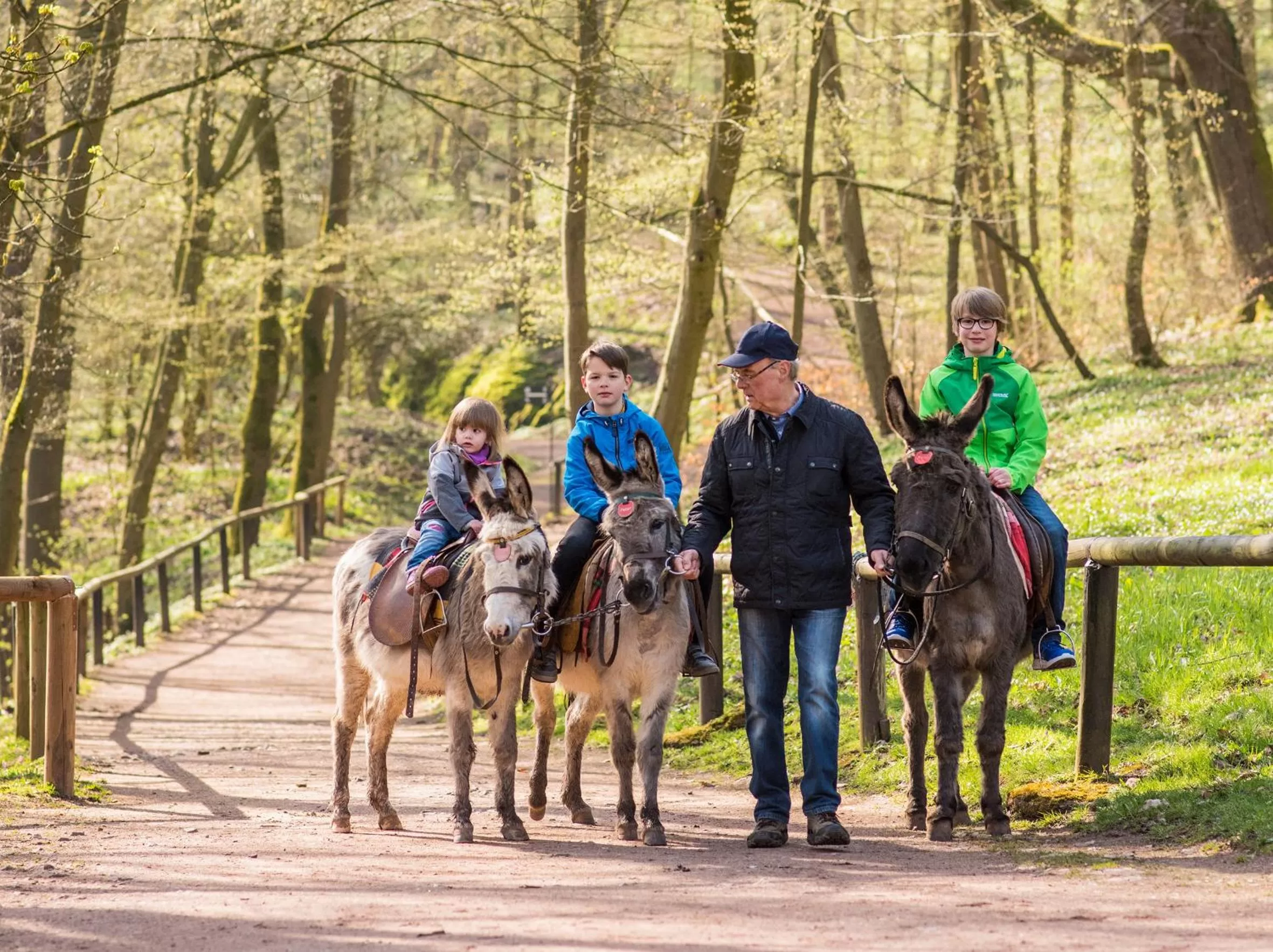 Spring, Horseback Riding in Suites MITTE - Aparthotel
