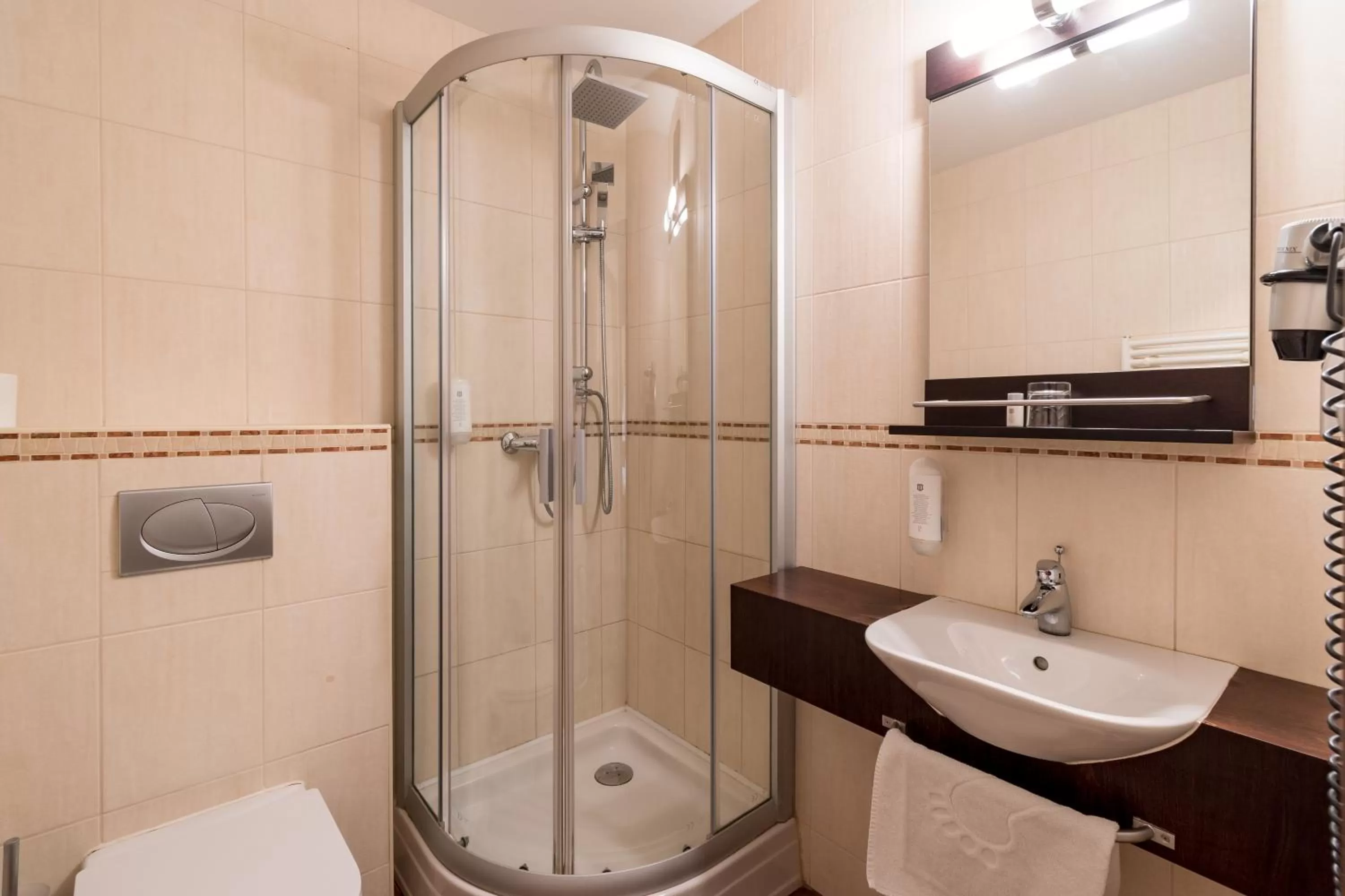 Bathroom in Hotel U Hejtmana Šarovce