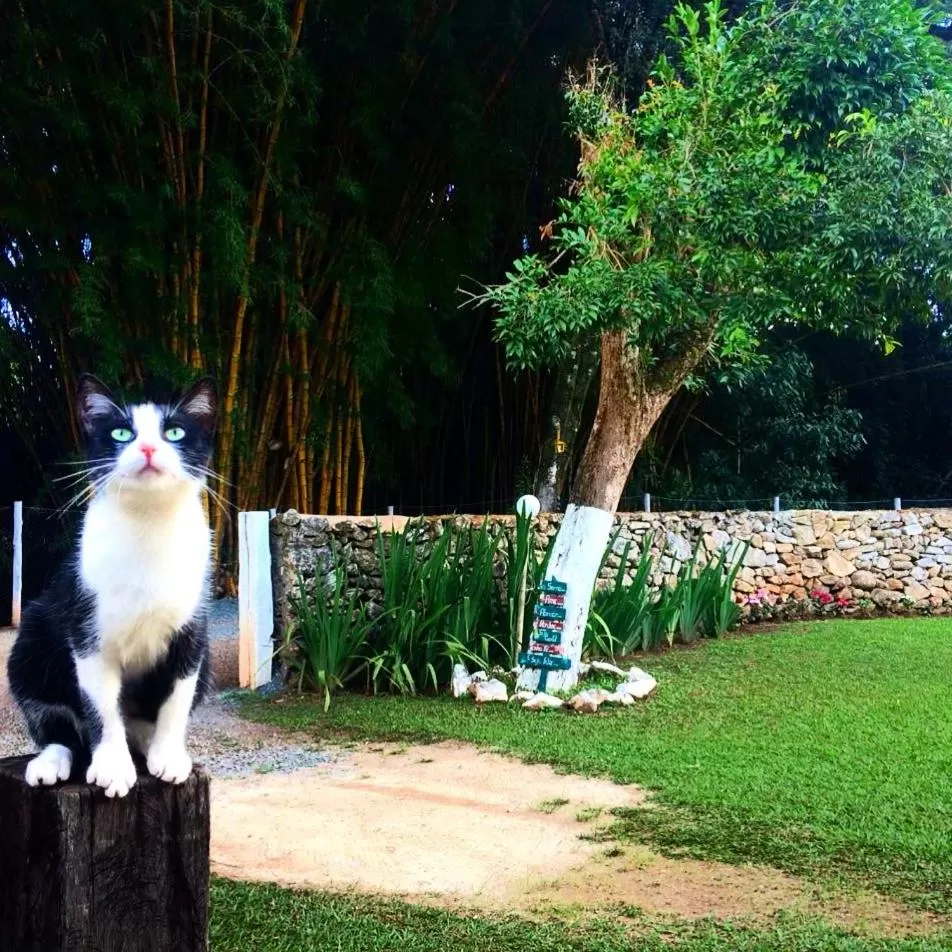 Property building, Pets in Pousada Cantinho do Mundo