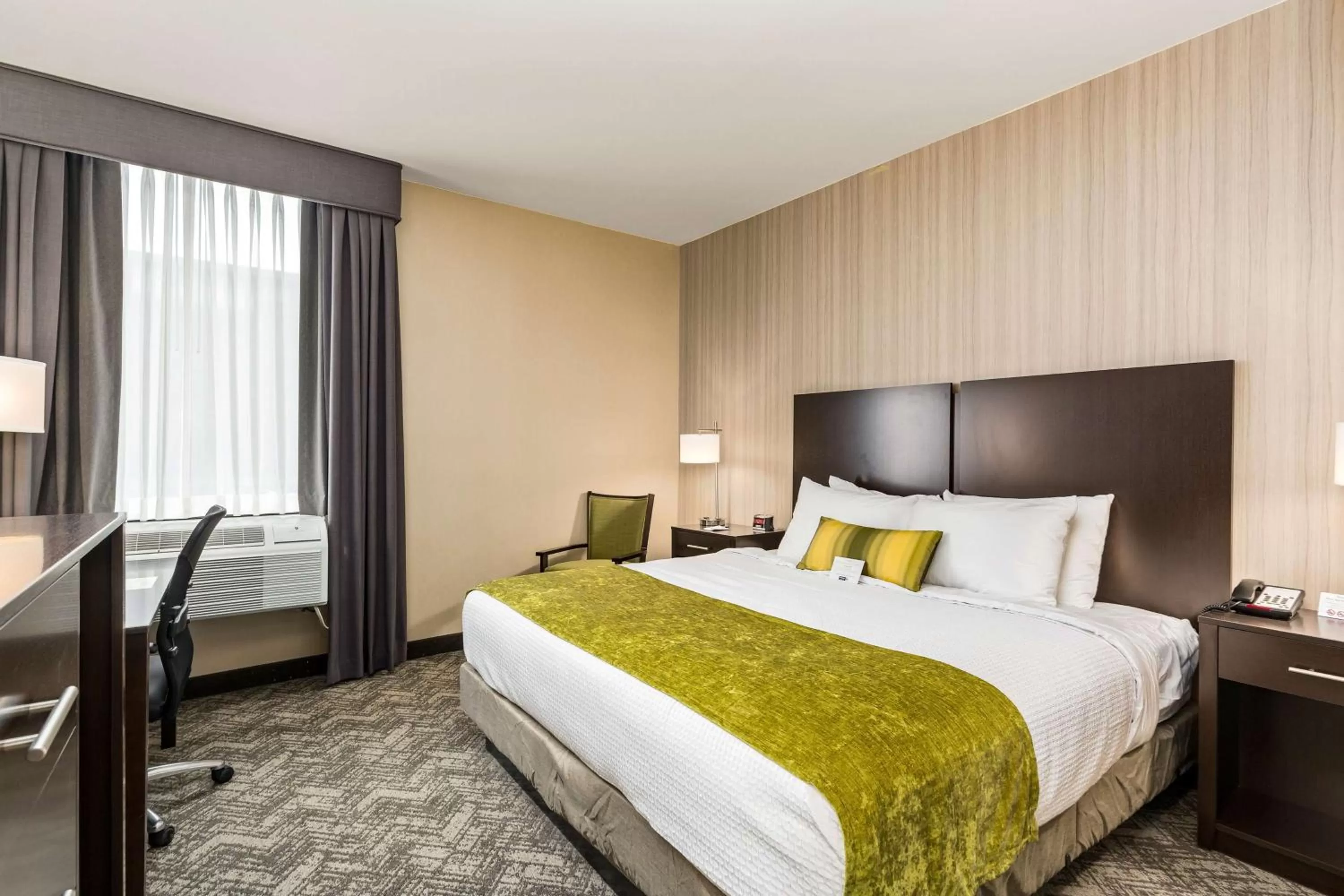 King Room with Roll-In Shower - Disability Access in Best Western Plus Philadelphia-Pennsauken Hotel