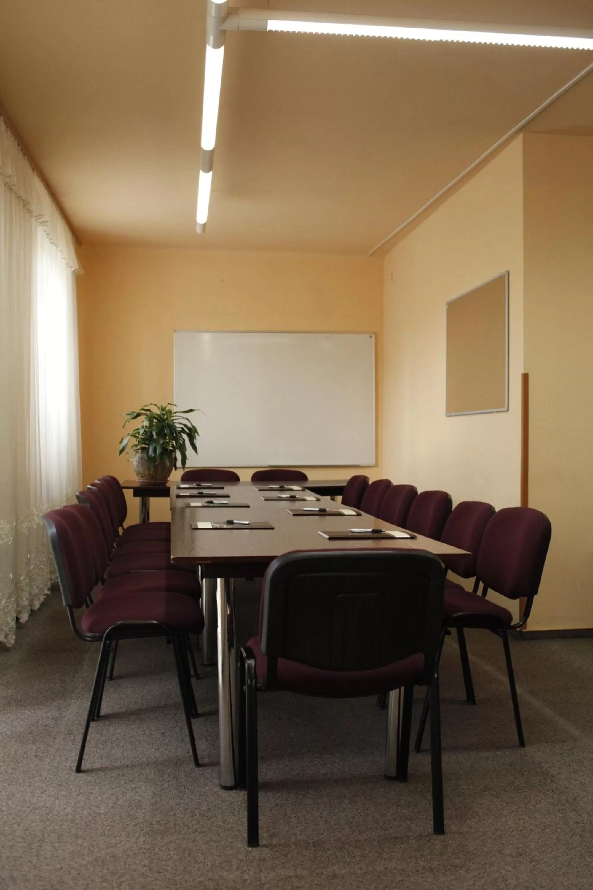 Meeting/conference room in Iskra