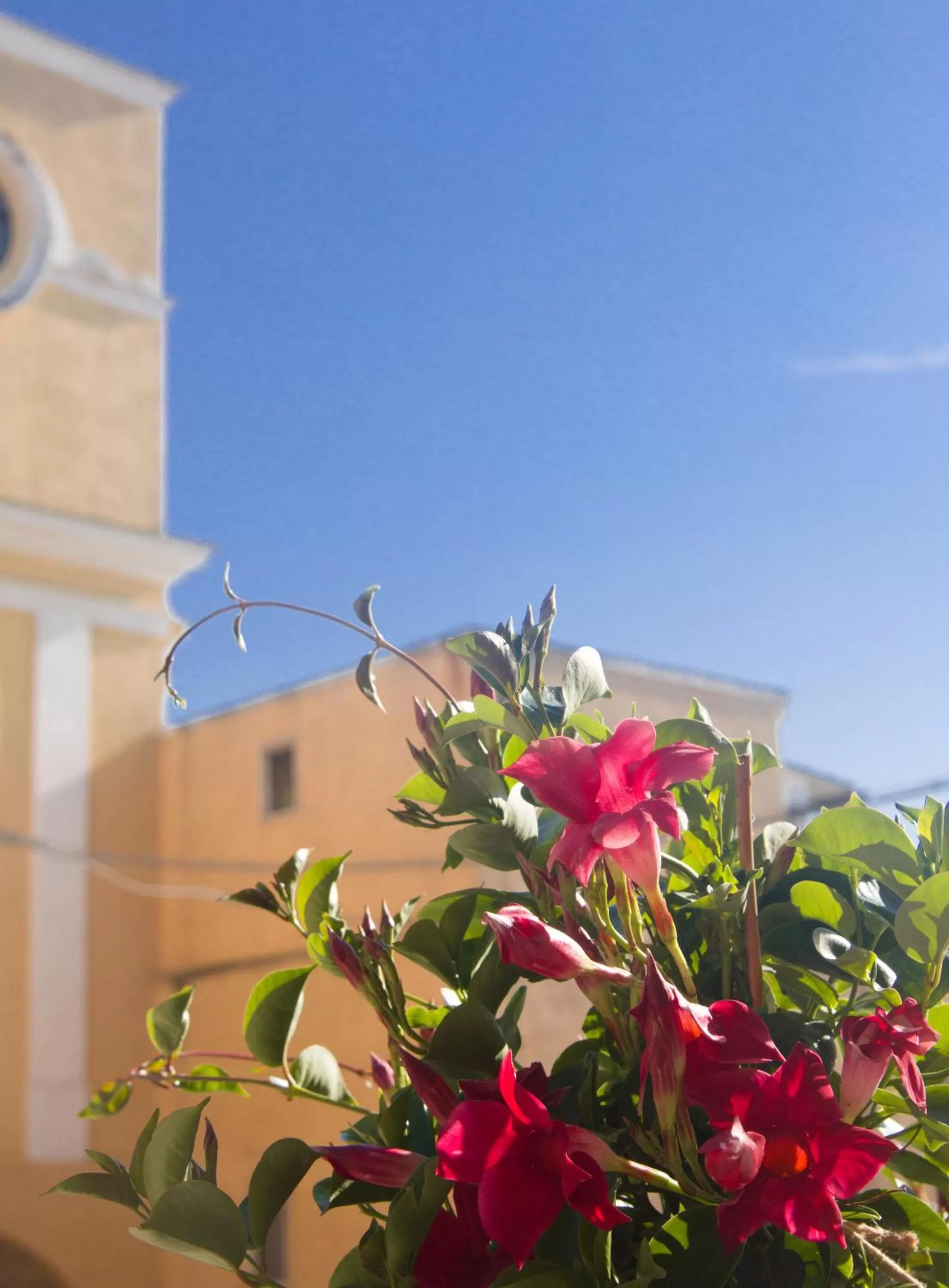 Balcony/Terrace in B&B San Trifone