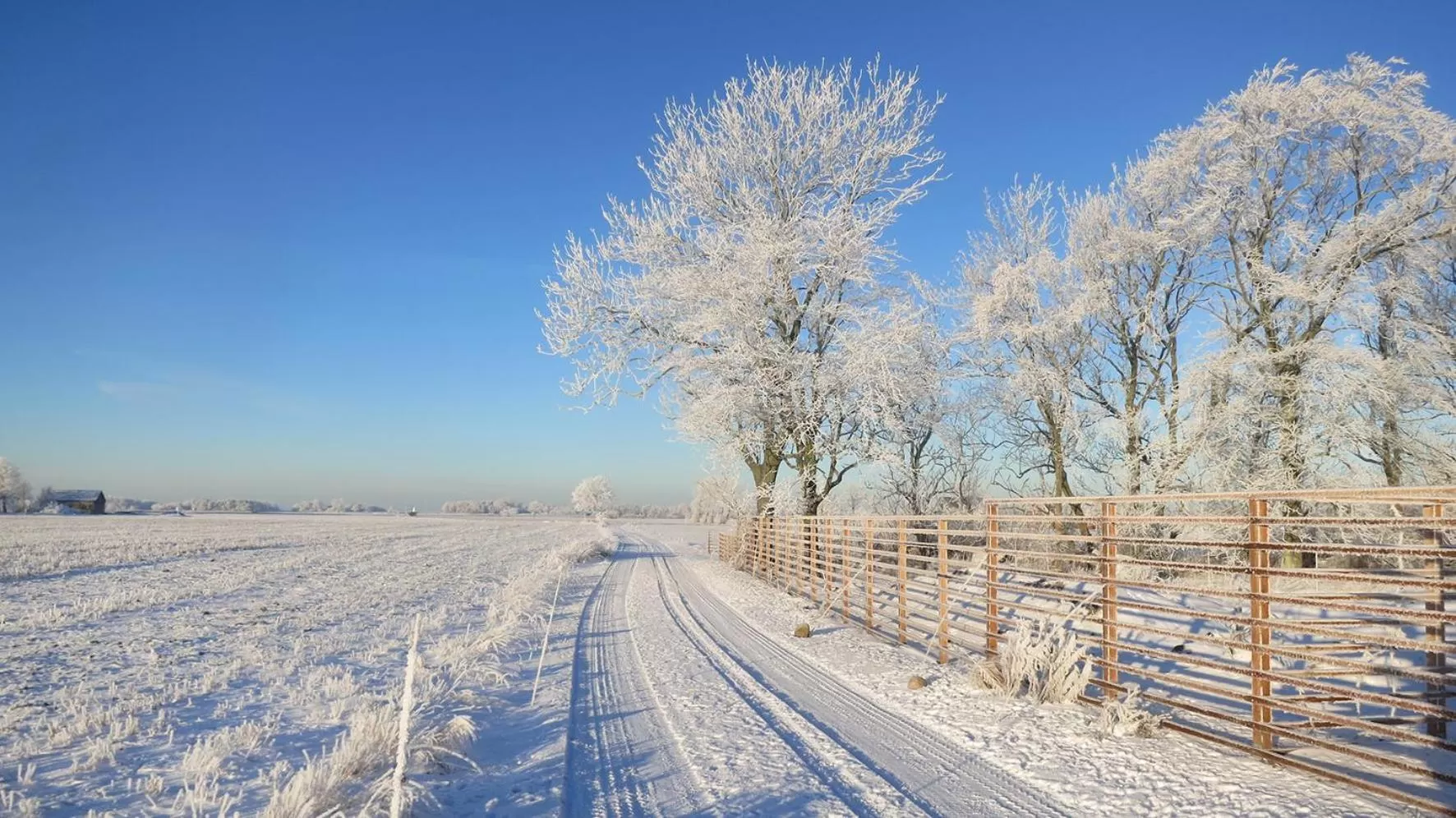 Natural landscape in Vikens bed and Breakfast