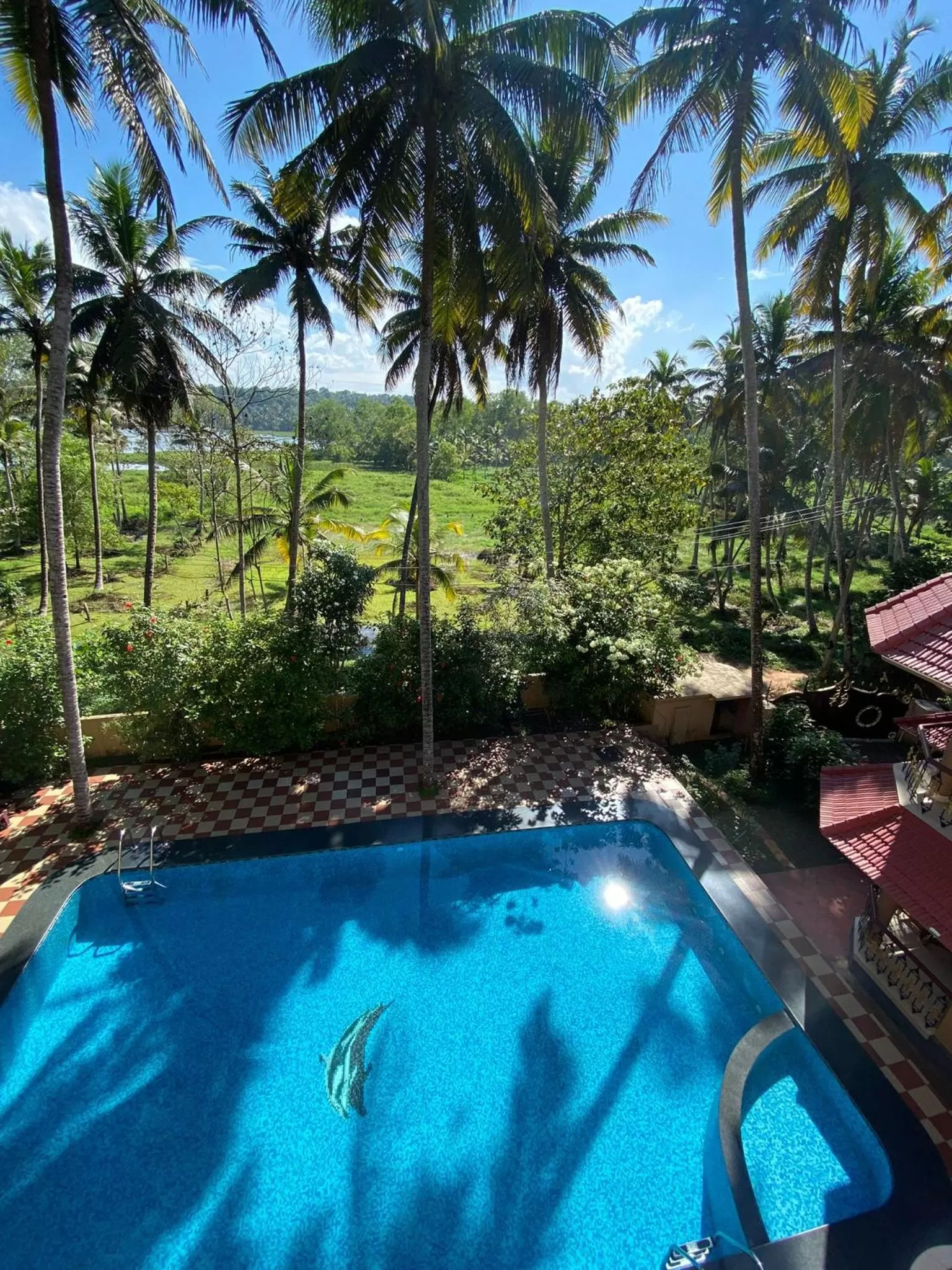 Pool view in Ganesh Ayurveda Holiday Home