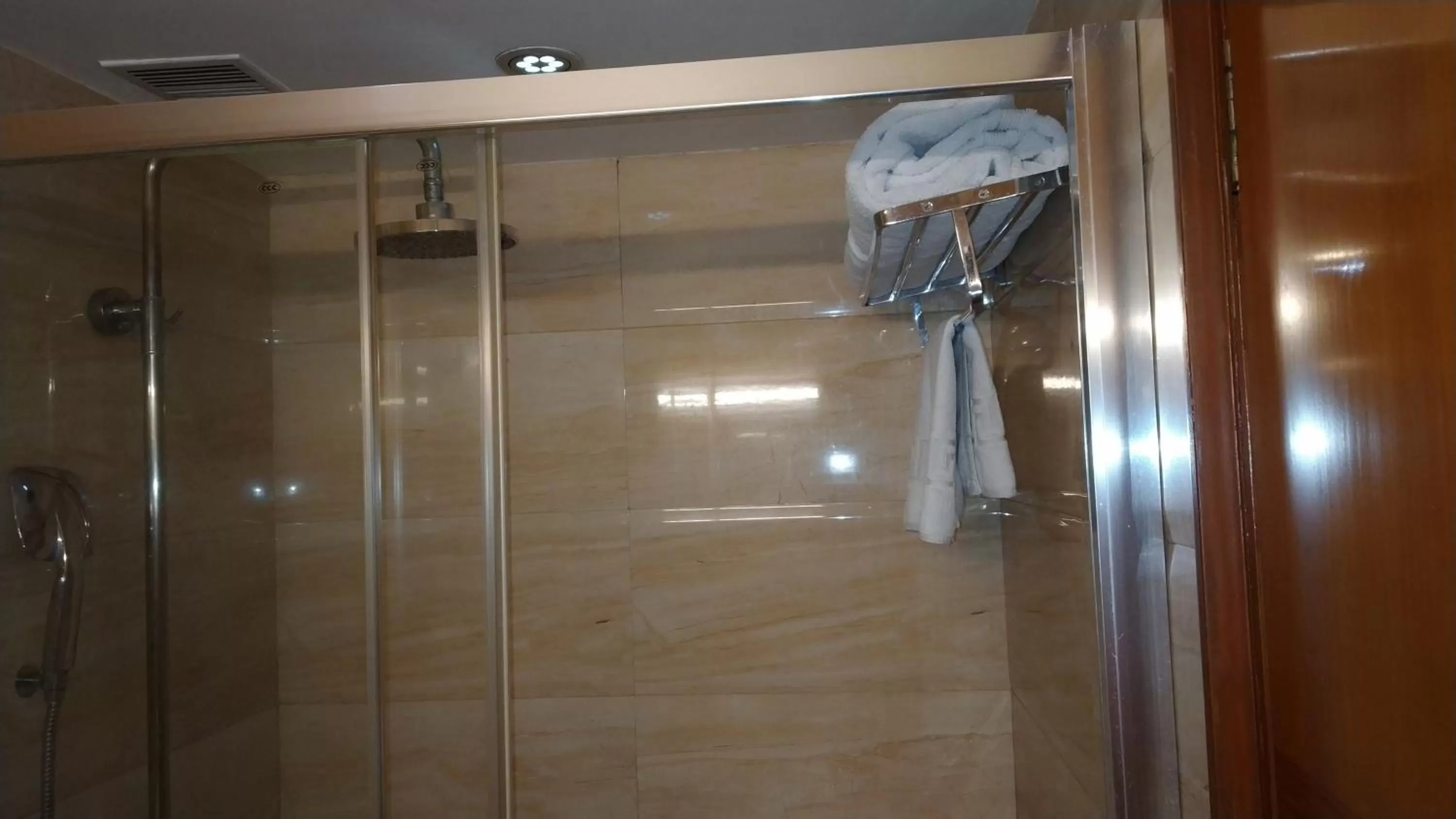 Shower in Best Western Ashoka