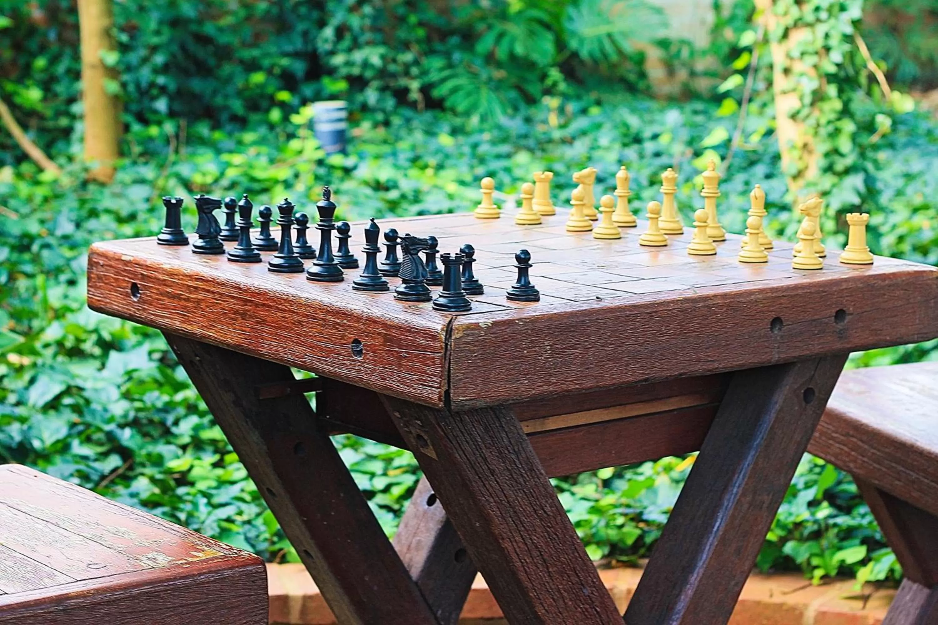 Garden in Hotel Villa Lobos Spa Romantik