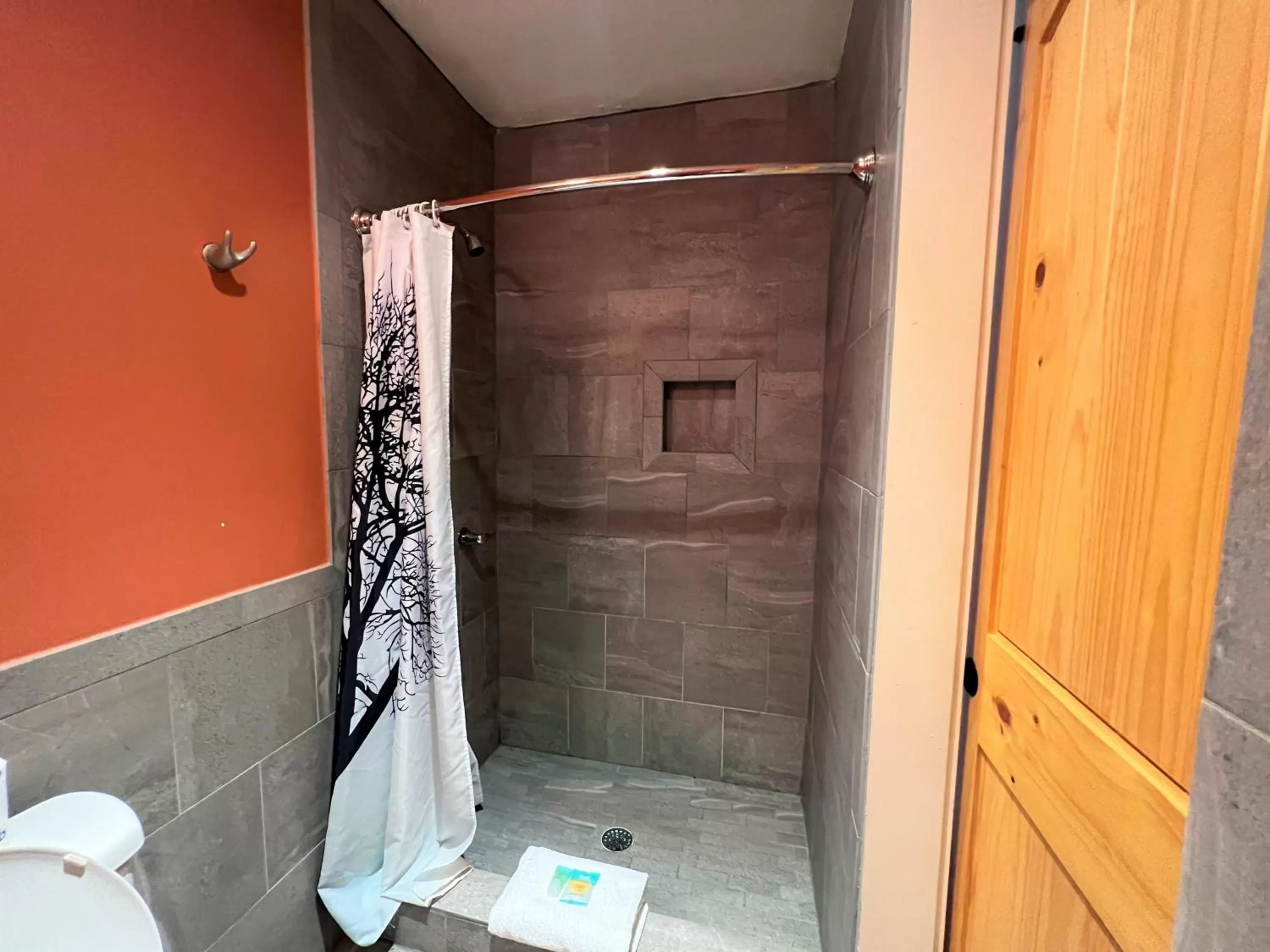 Shower in Mountain Top Inn and Resort