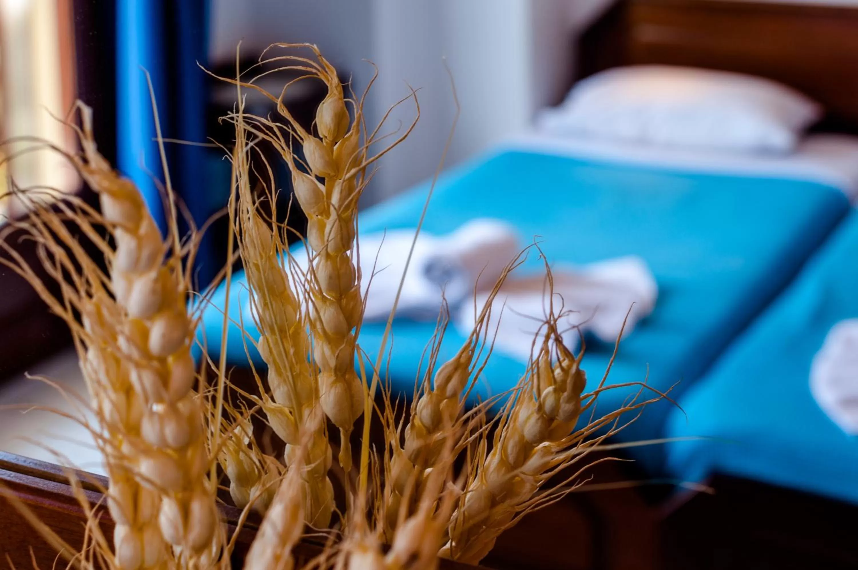 Decorative detail, Bed in Poco Loco Bed & Breakfast