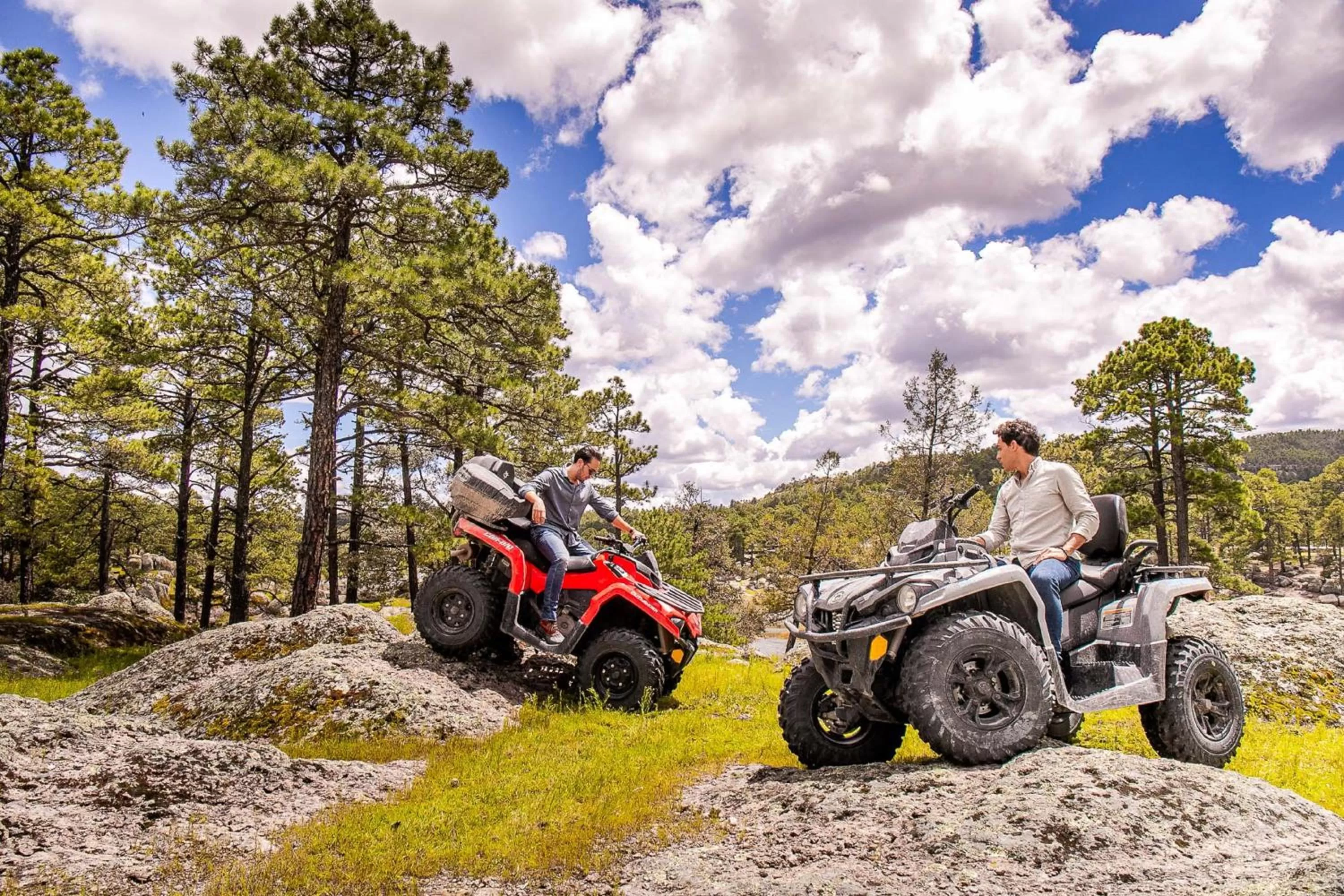 Spring in Hacienda Don Armando Boutique & Spa