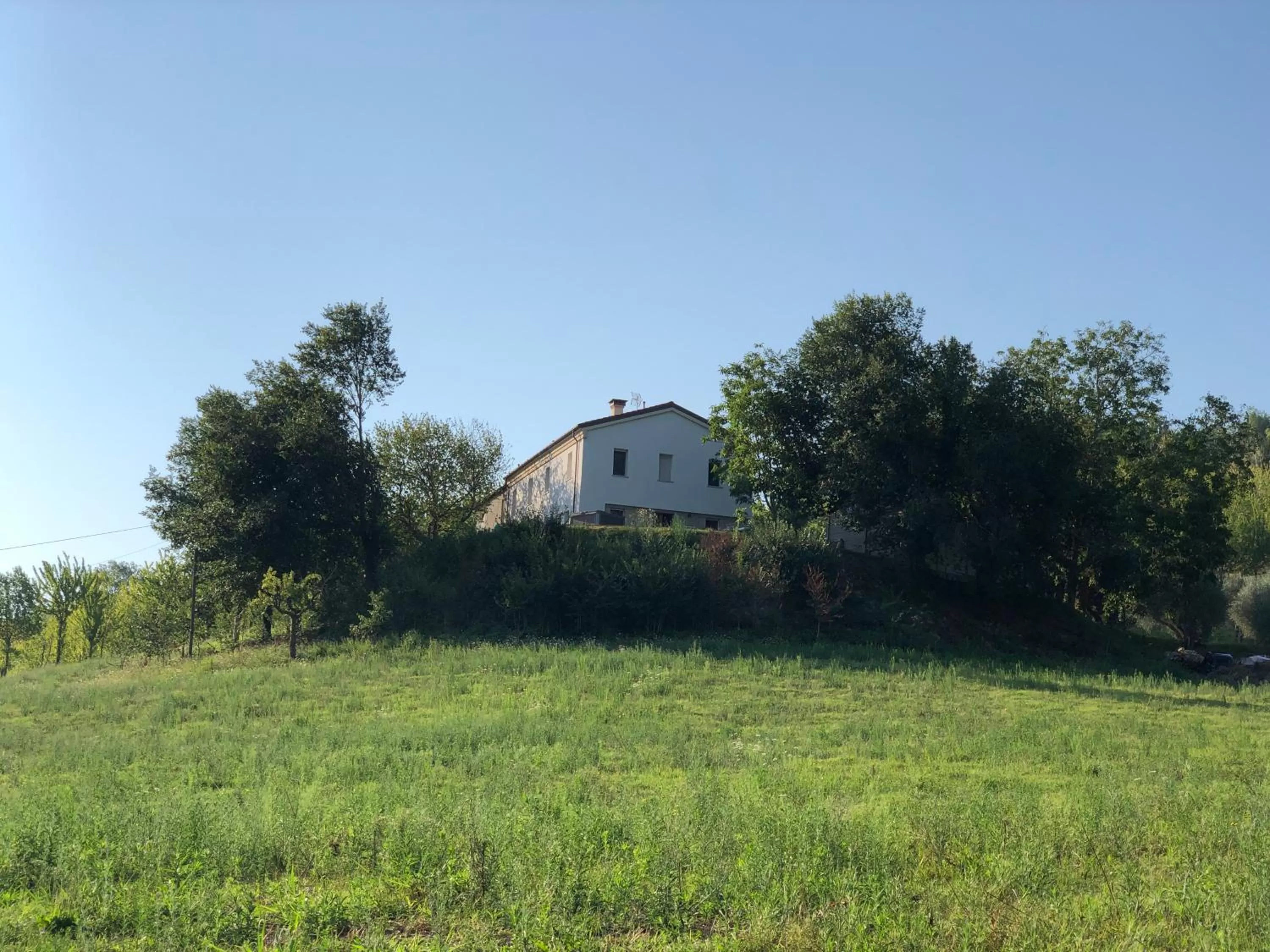 Facade/entrance, Property Building in Dai Ventu