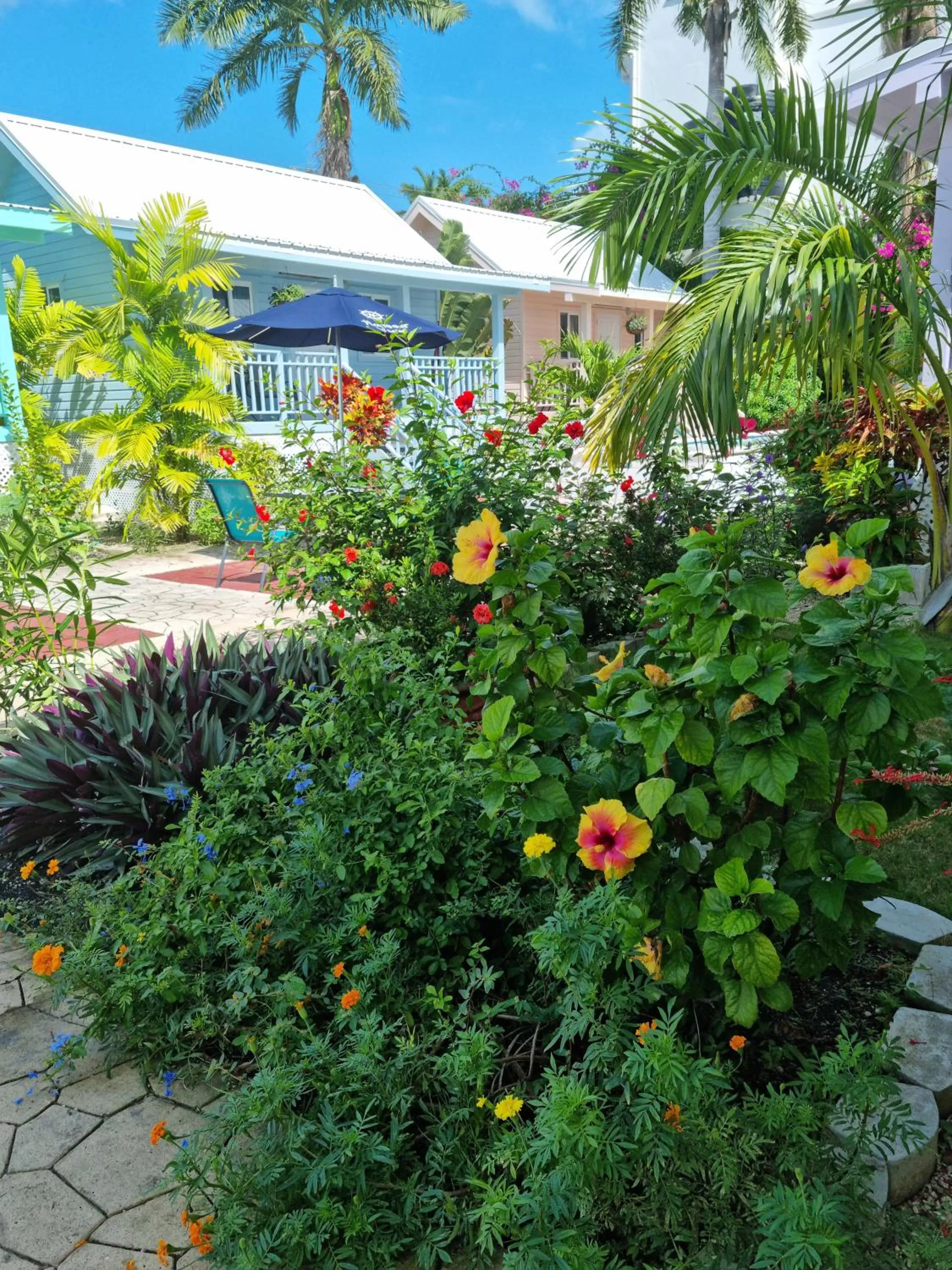 Garden in Harbour View Boutique Hotel & Wellness Retreat