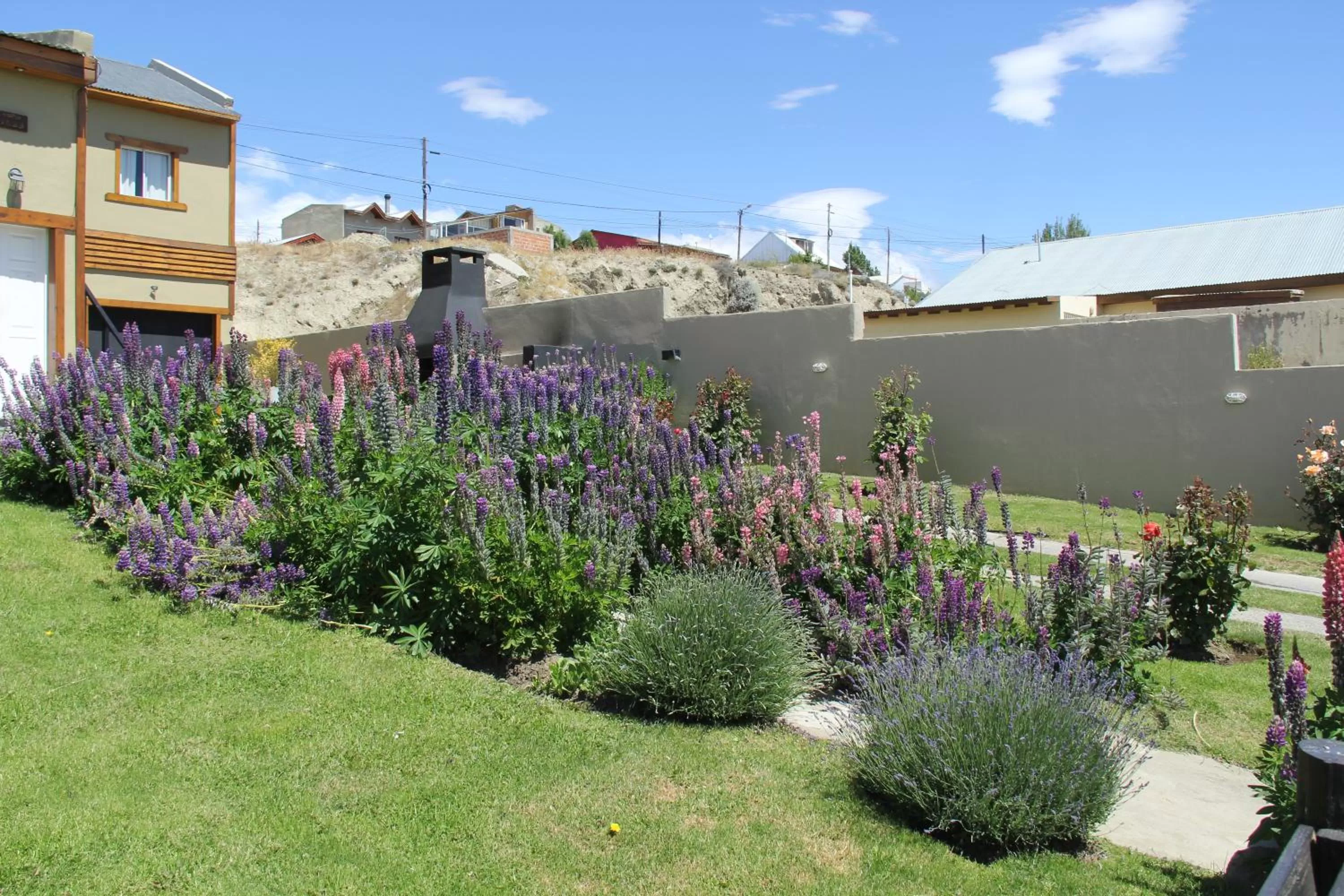 Garden, Property Building in Apart Haiken