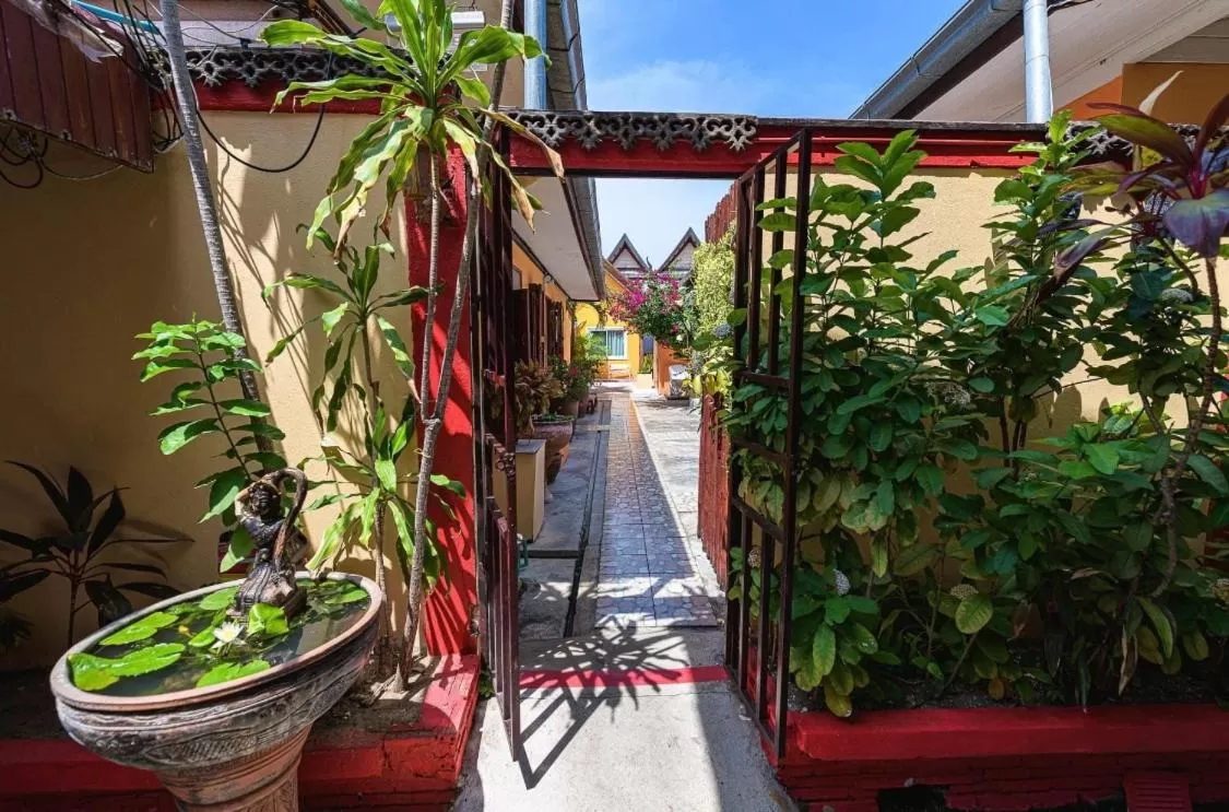 Day in MANDARIN LODGE by victor