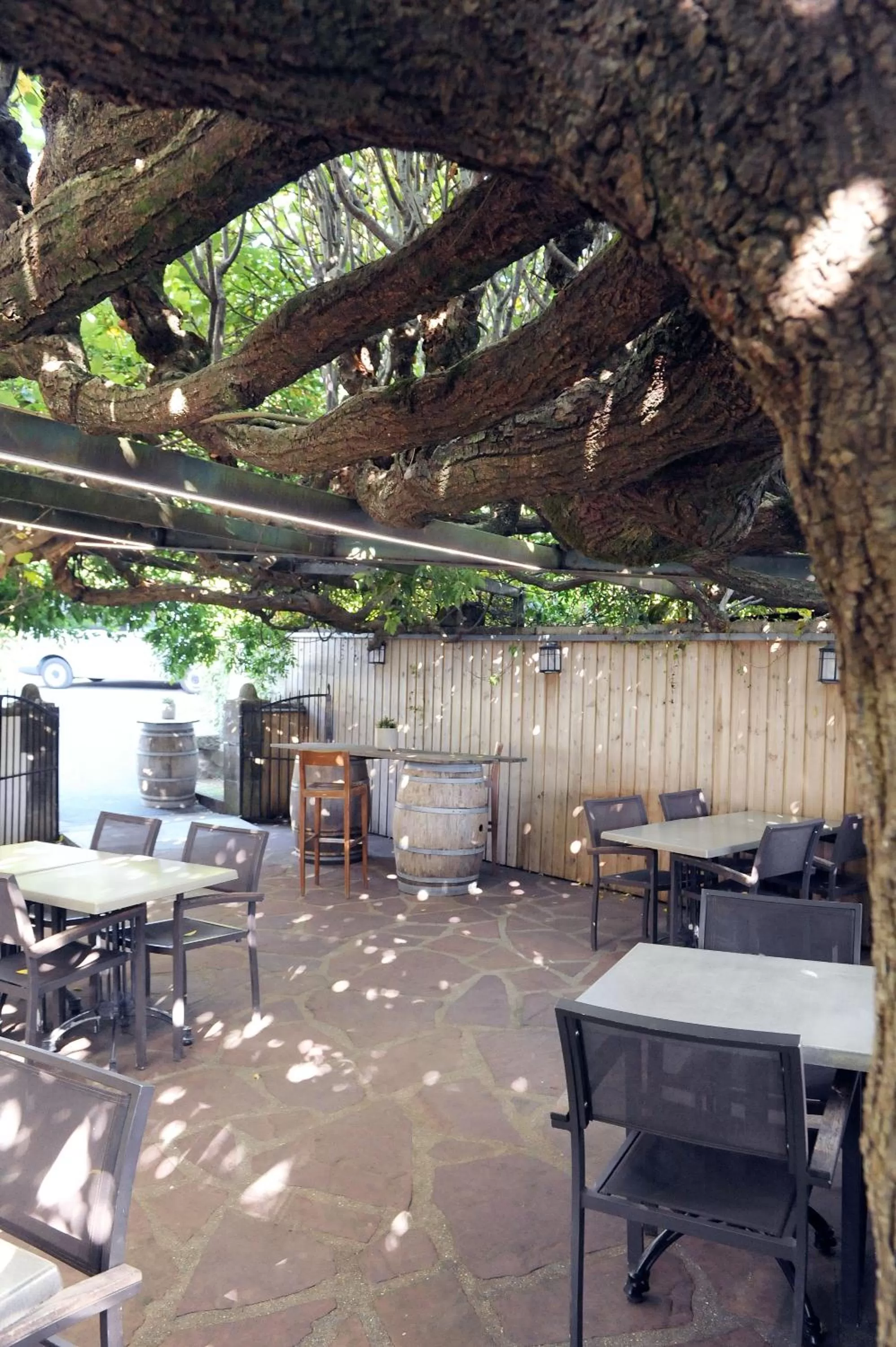 Patio in Logis Hôtel du Chêne